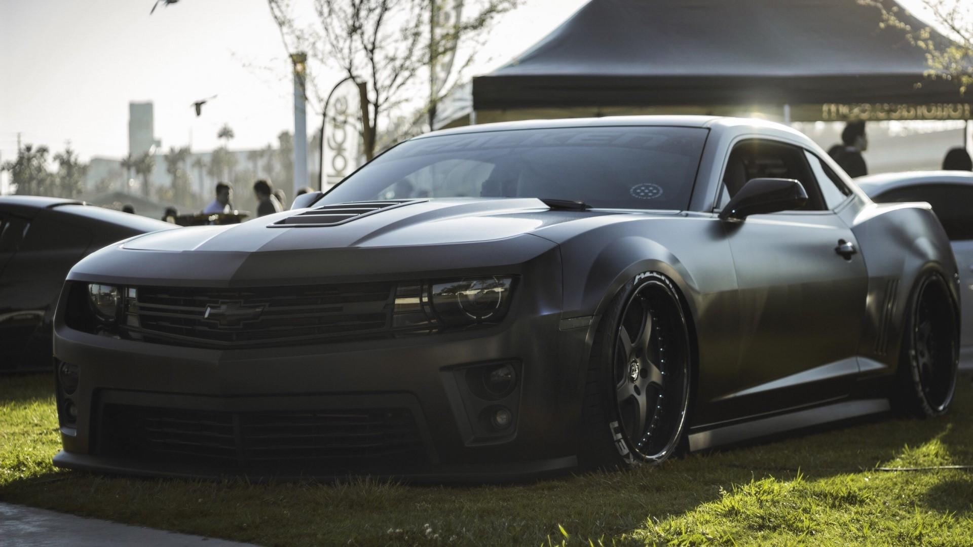 Matte black Chevrolet Camaro parked on grass HD Wallpaper