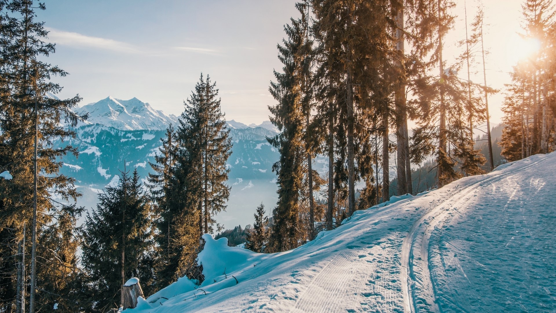 Snowy mountain landscape with pine trees and ski tracks HD Wallpaper