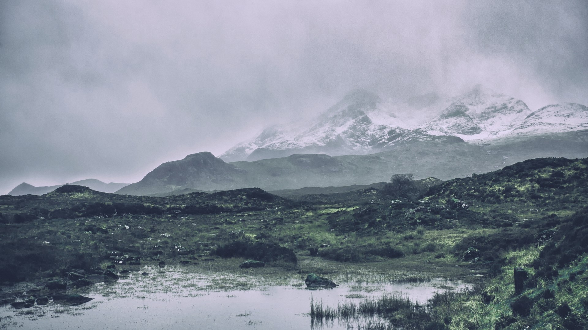 Misty Mountains and Grassy Moors HD Wallpaper