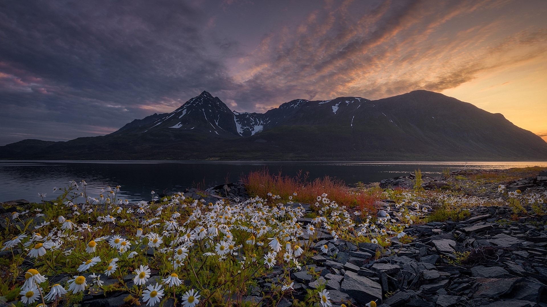 Mountains and lake with wildflowers at sunset HD Wallpaper