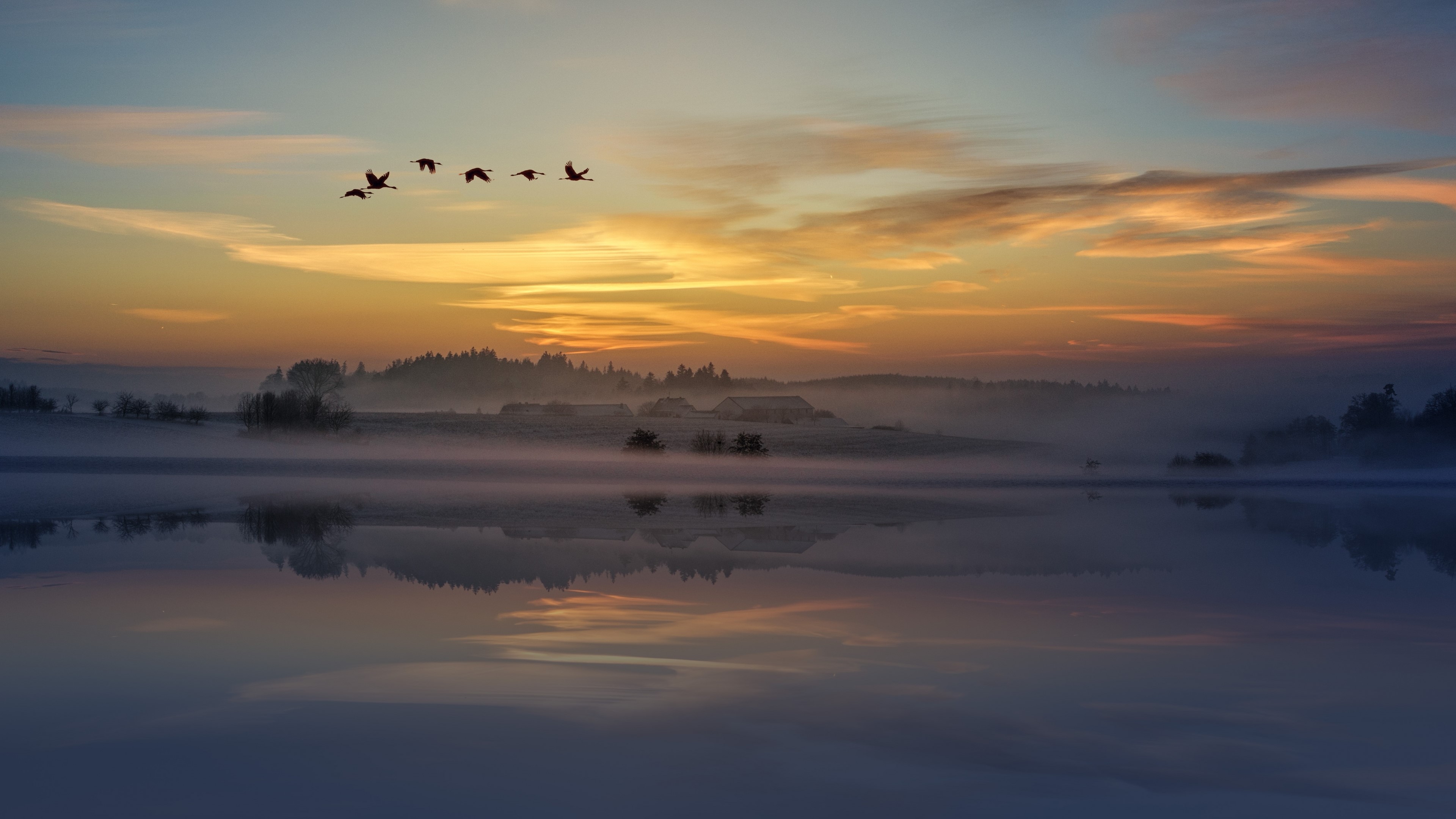 4K Morning with Birds Flying Over Lake HD Wallpaper