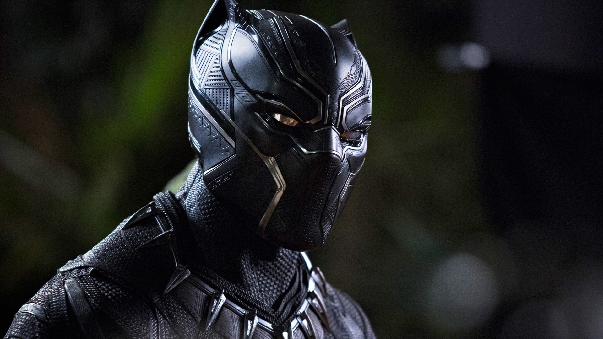 Black Panther from Marvel Cinematic Universe HD Wallpaper