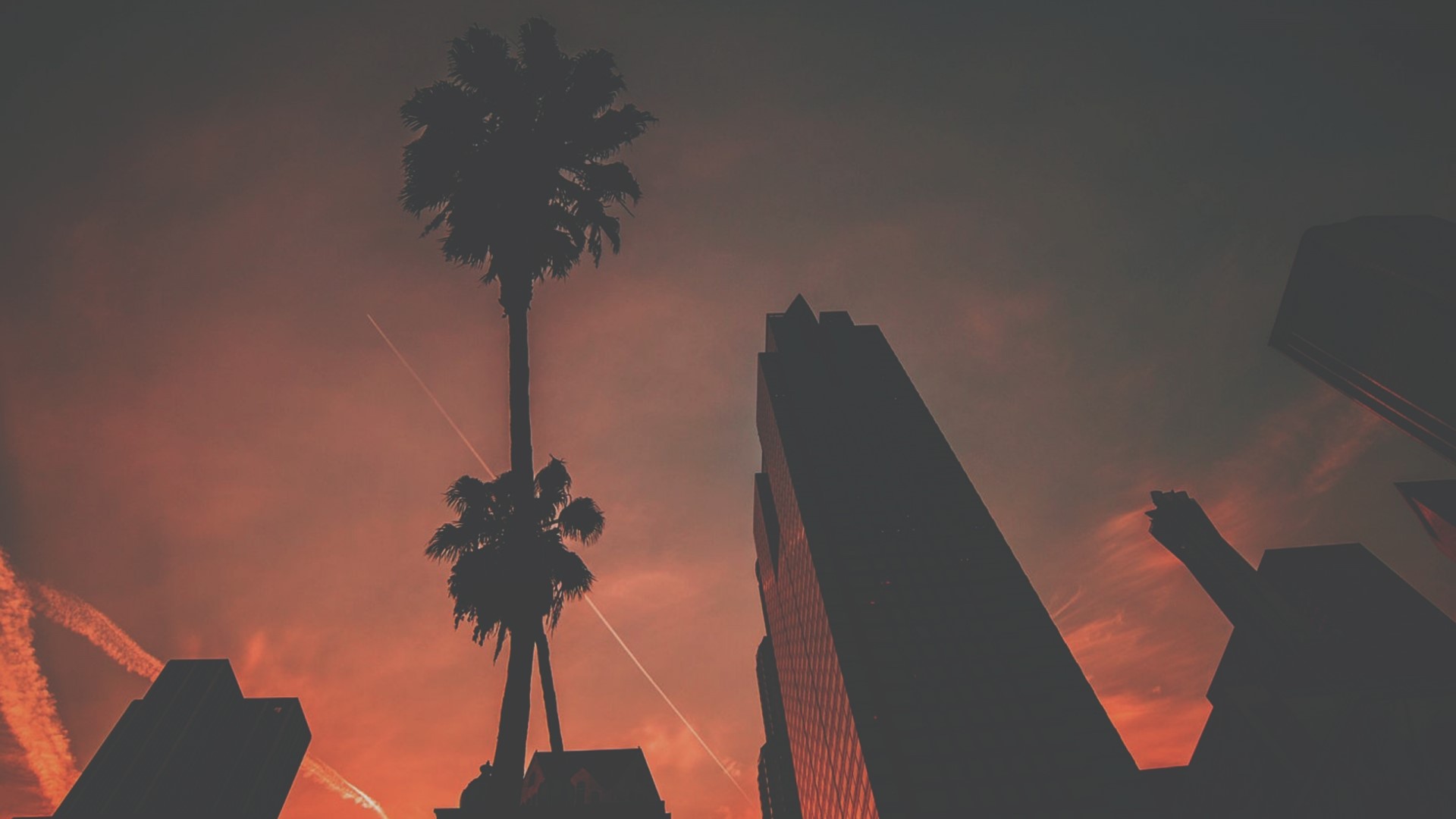 Palm trees and skyscrapers at sunset HD Wallpaper