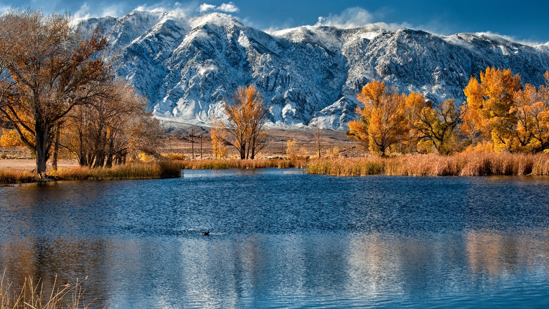 Autumn lake with snow-capped mountains HD Wallpaper