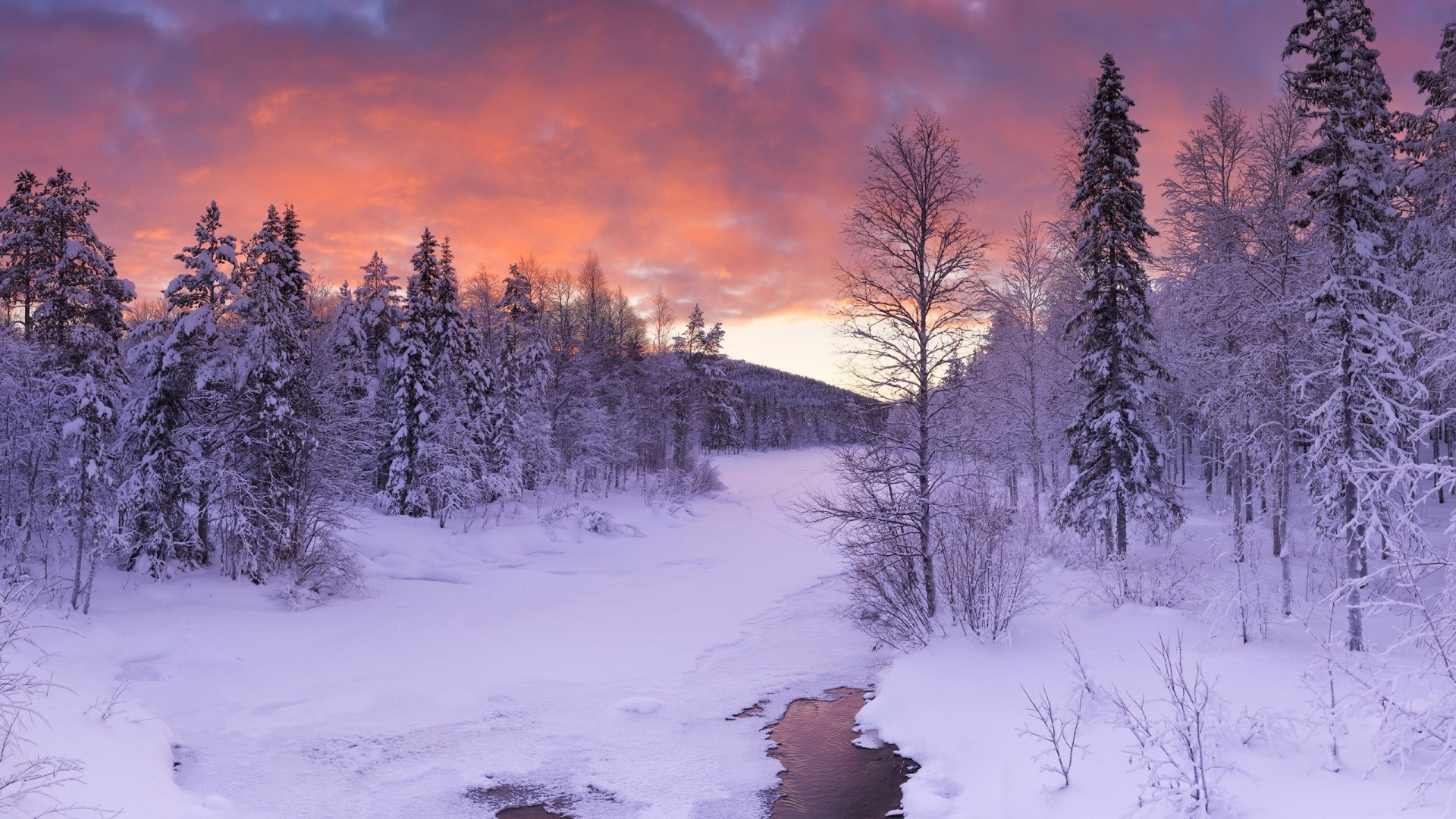 Snowy forest with colorful sunset in Lapland, Finland HD Wallpaper