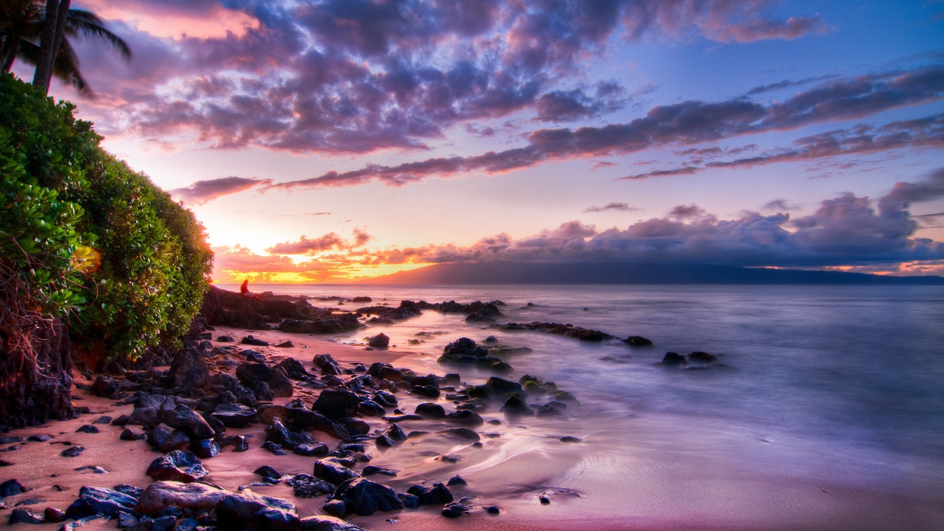 Sunset over rocky shore with palm trees HD Wallpaper