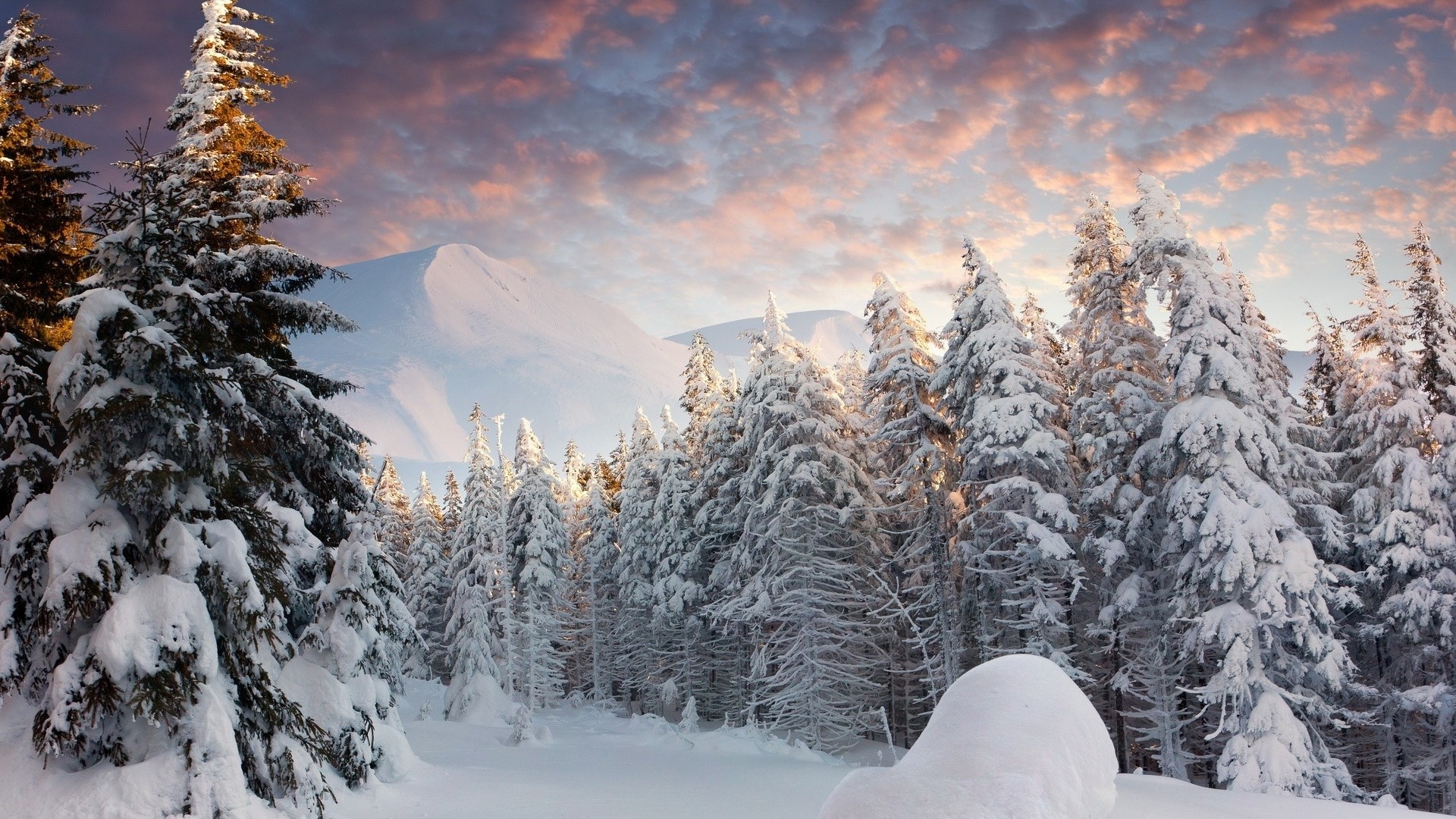 Snow-covered forest with mountain at sunrise HD Wallpaper