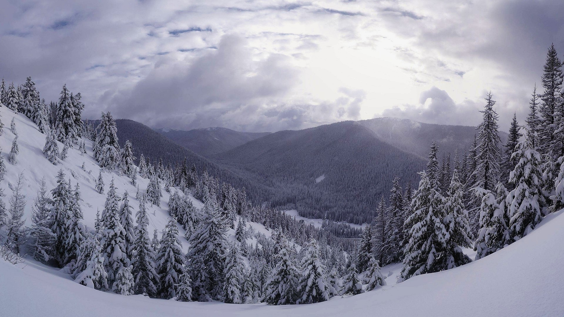 Snowy mountain landscape with pine trees HD Wallpaper