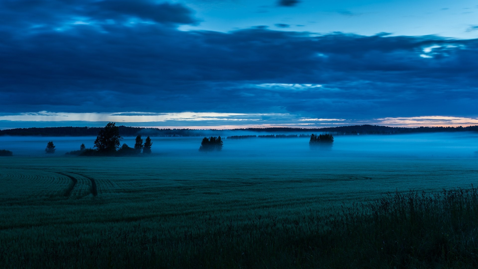 Blue fog over a field at dusk HD Wallpaper