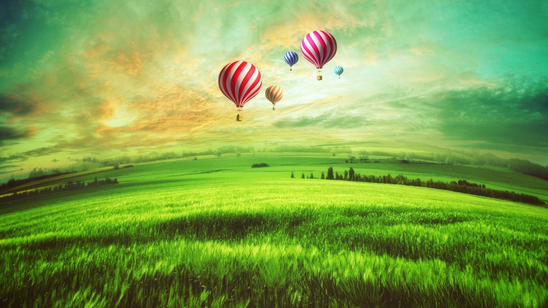 Hot Air Balloons Over Green Fields HD Wallpaper