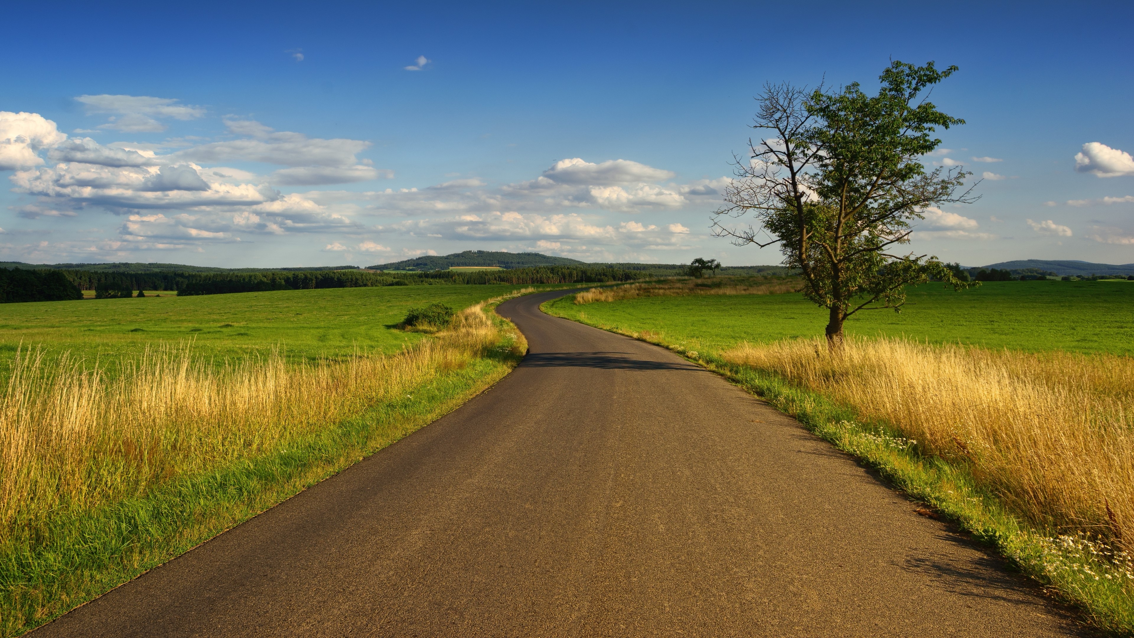 4K Road through Green Fields HD Wallpaper