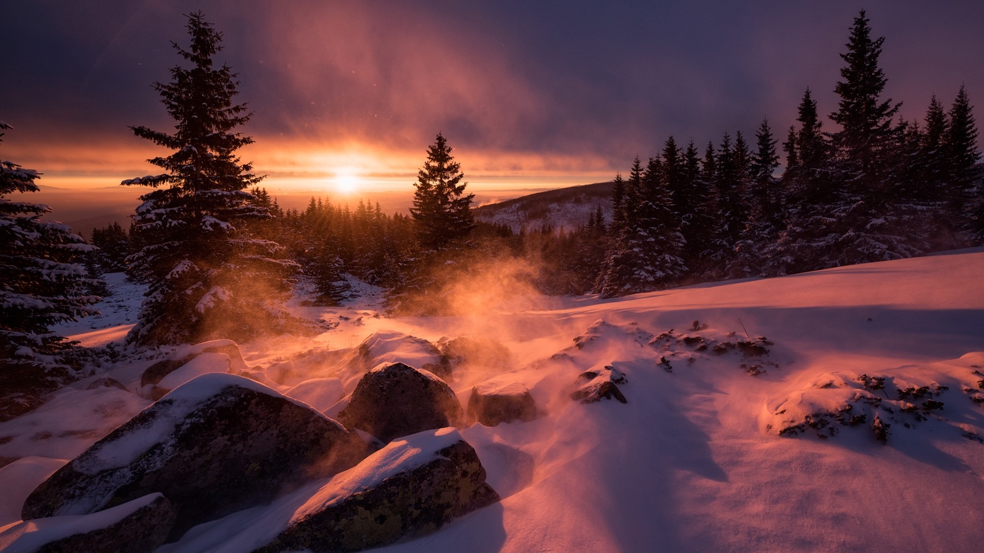 Sunrise over a snowy forest with mist HD Wallpaper