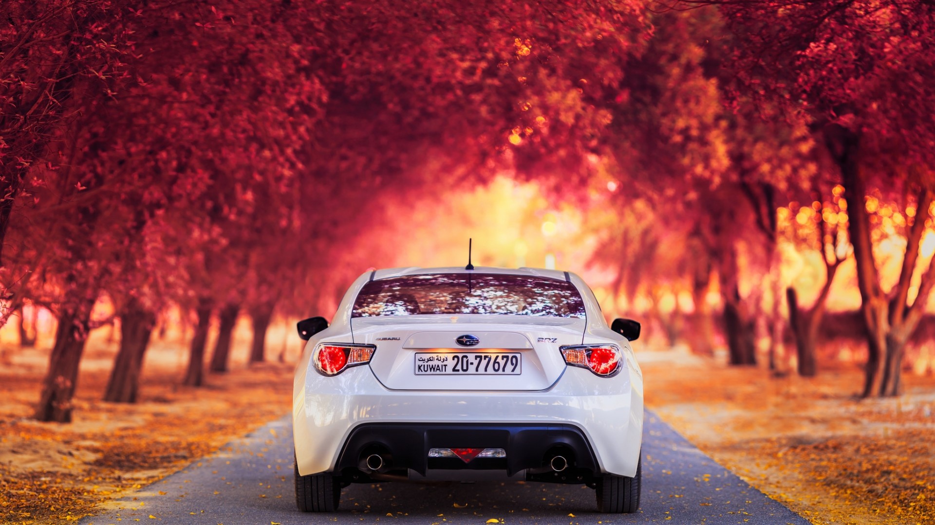 White Subaru BRZ on an autumn road HD Wallpaper