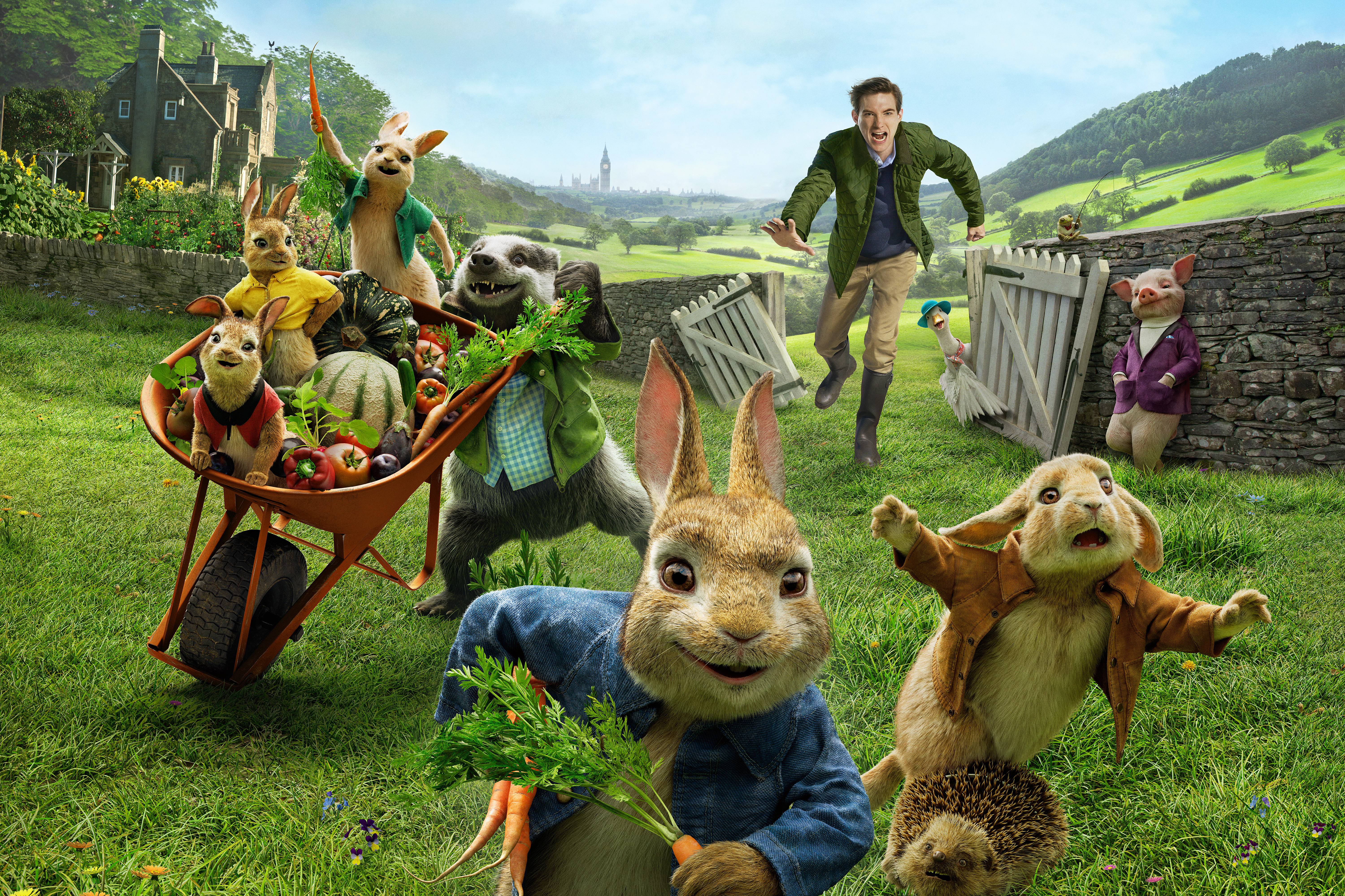 Peter Rabbit and friends in a garden HD Wallpaper