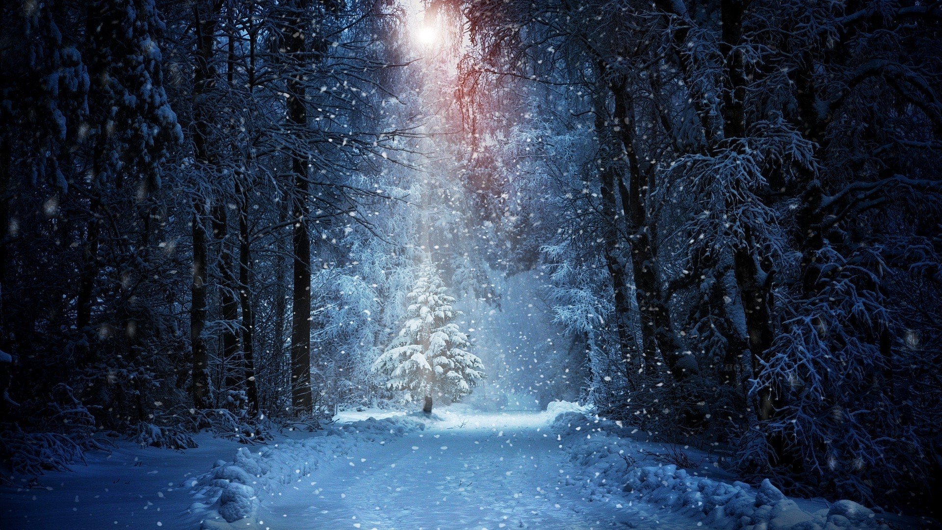 Snowy forest path with a single illuminated tree HD Wallpaper