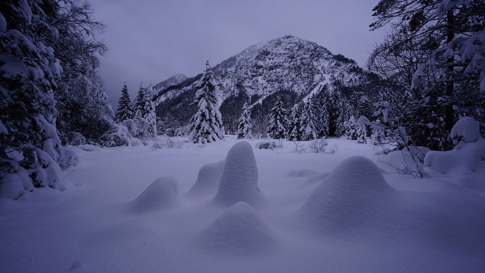 Snowy mountain landscape with pine trees HD Wallpaper