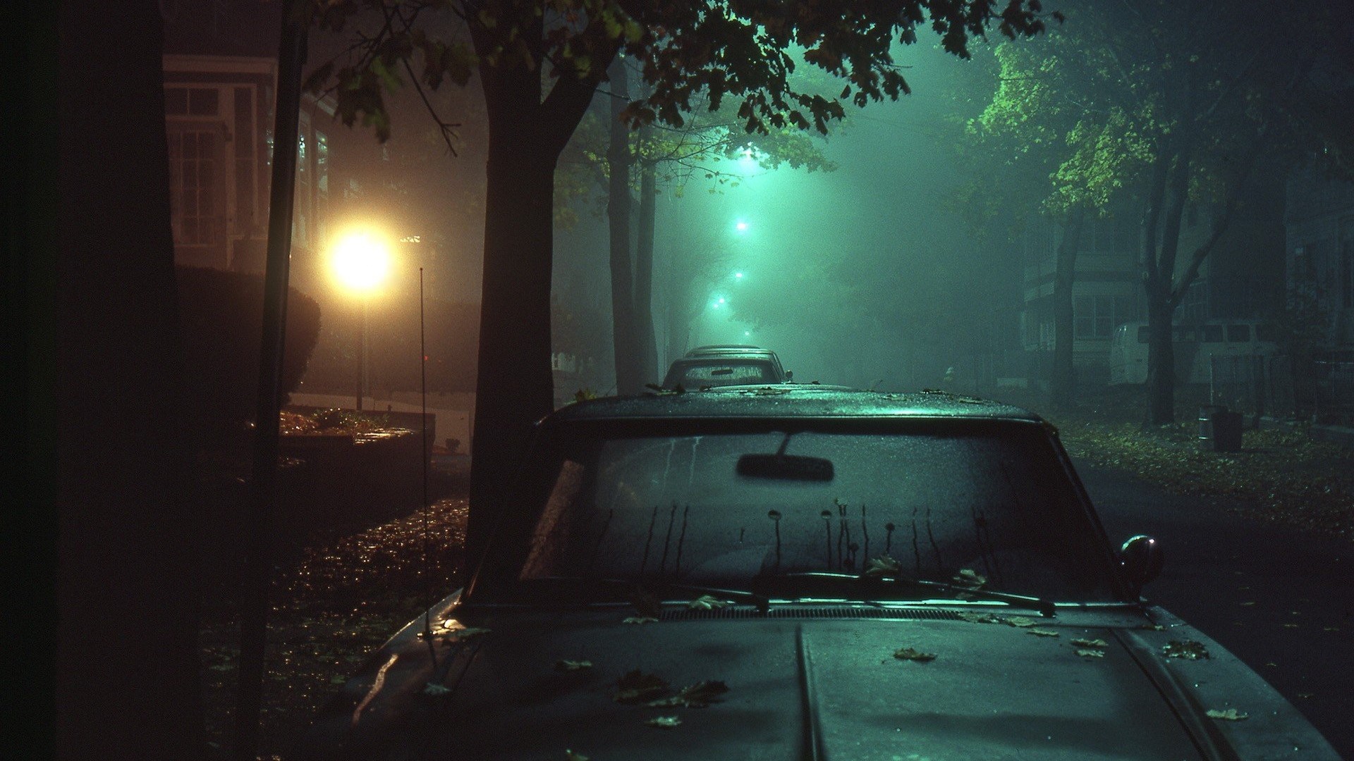 Foggy street at night with parked cars and streetlights HD Wallpaper