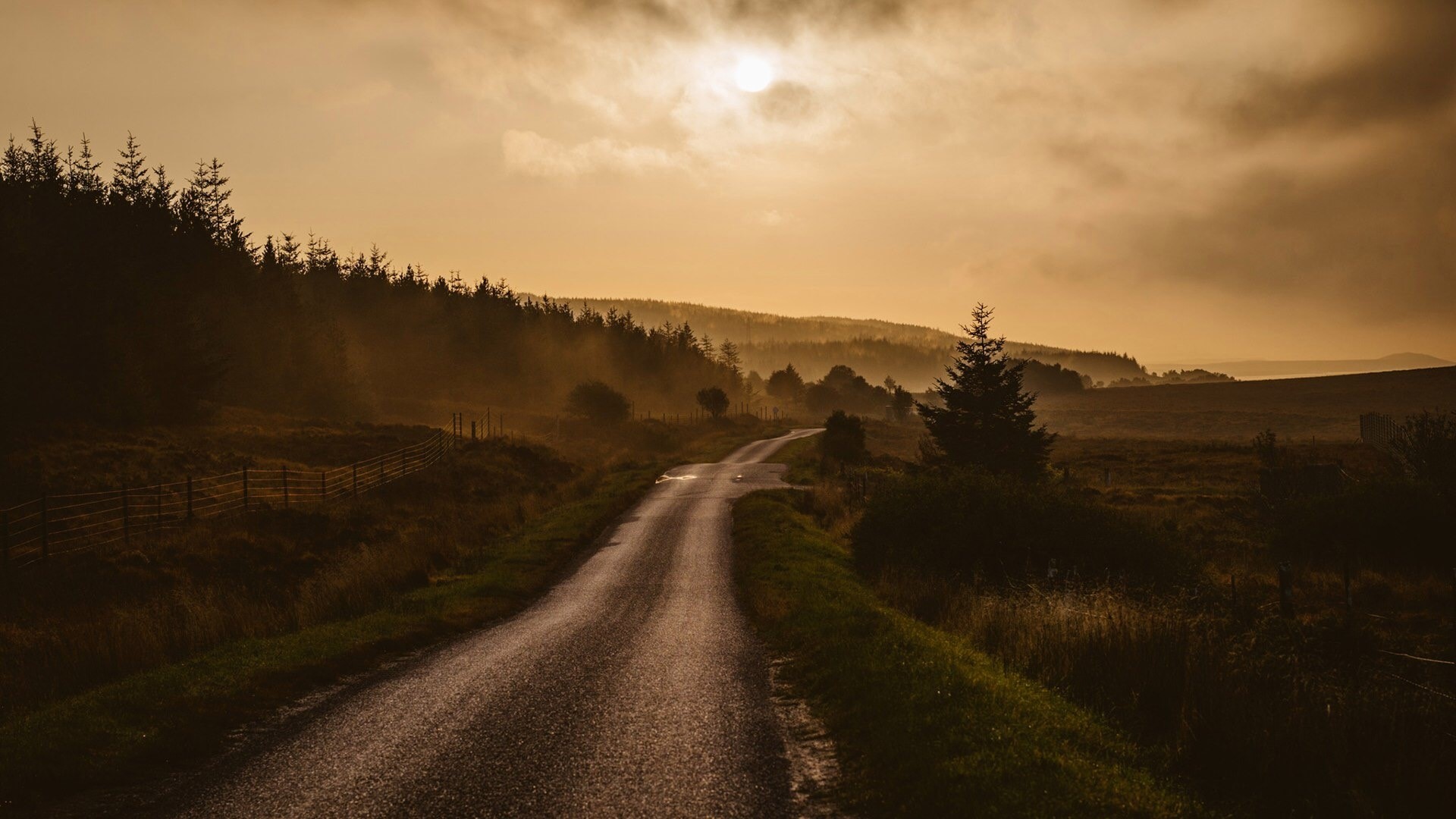 Misty road through a forest at sunrise HD Wallpaper