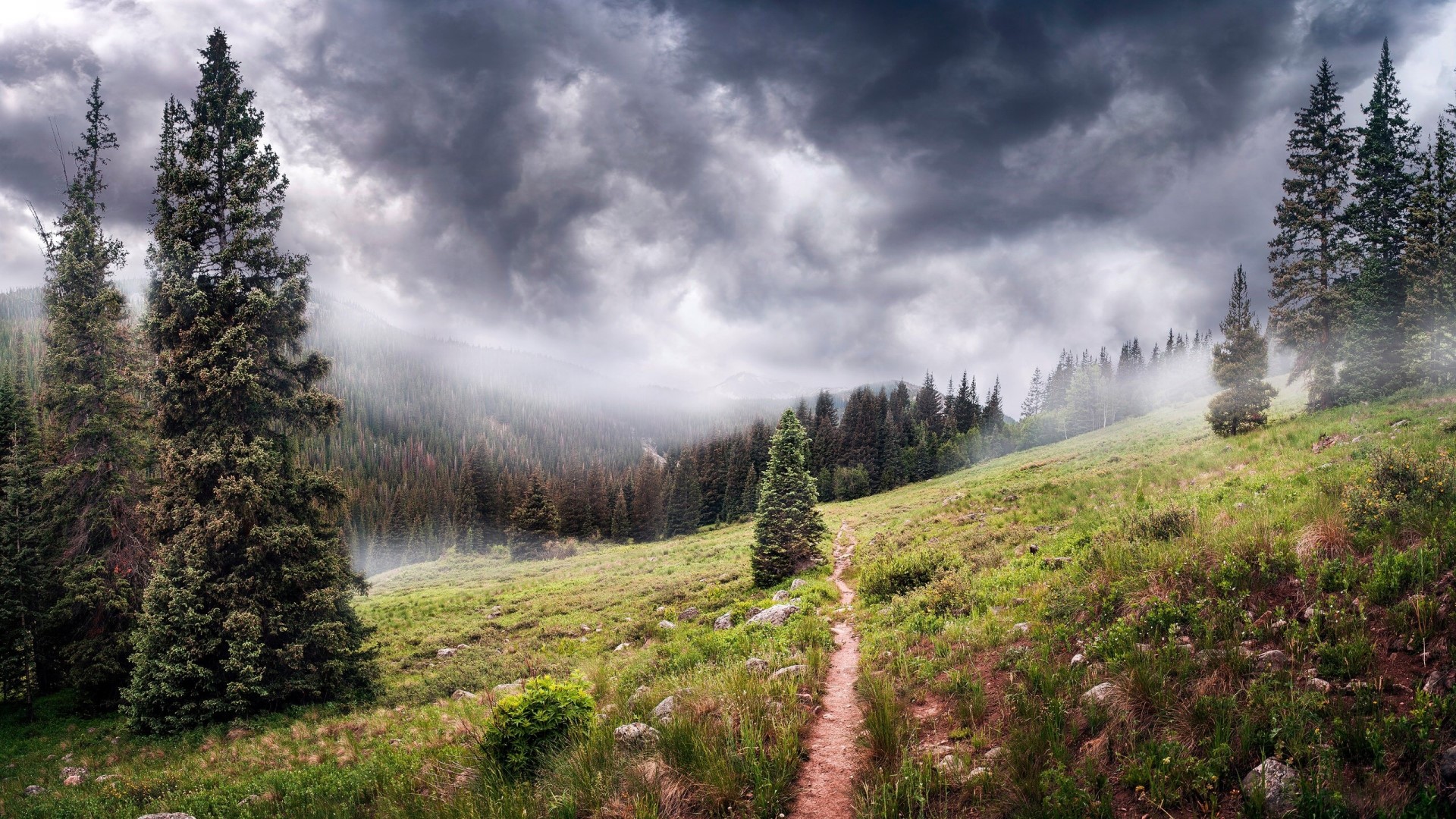 Mountain path through forest with stormy clouds HD Wallpaper