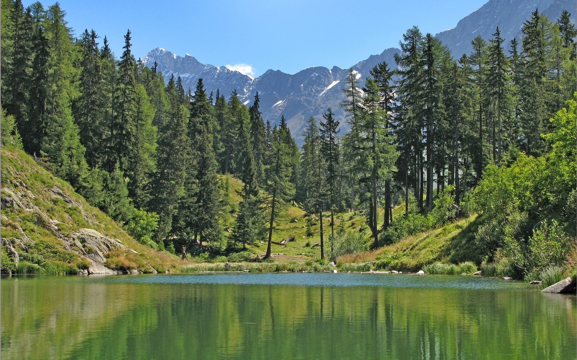 Mountain lake surrounded by pine trees and snow-capped peaks HD Wallpaper