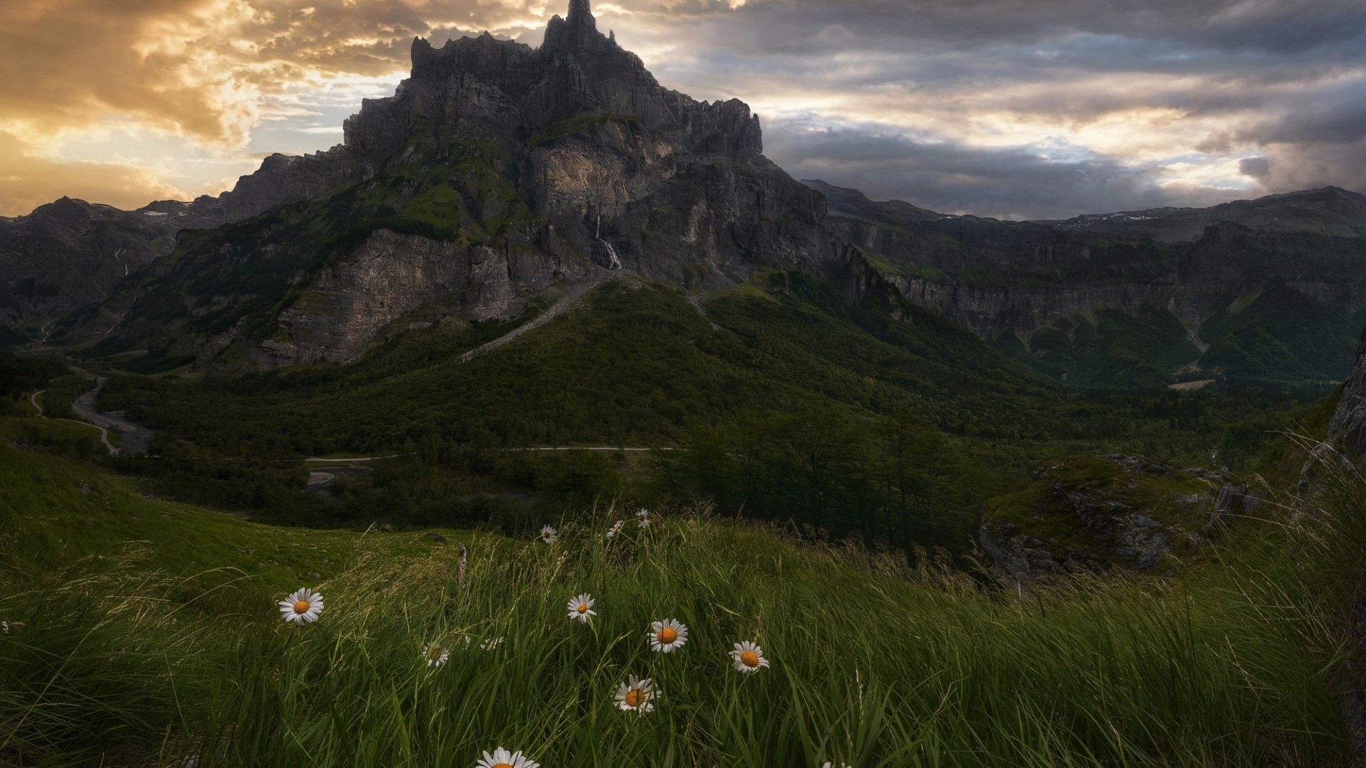 Mountain landscape with daisies and dramatic sky HD Wallpaper