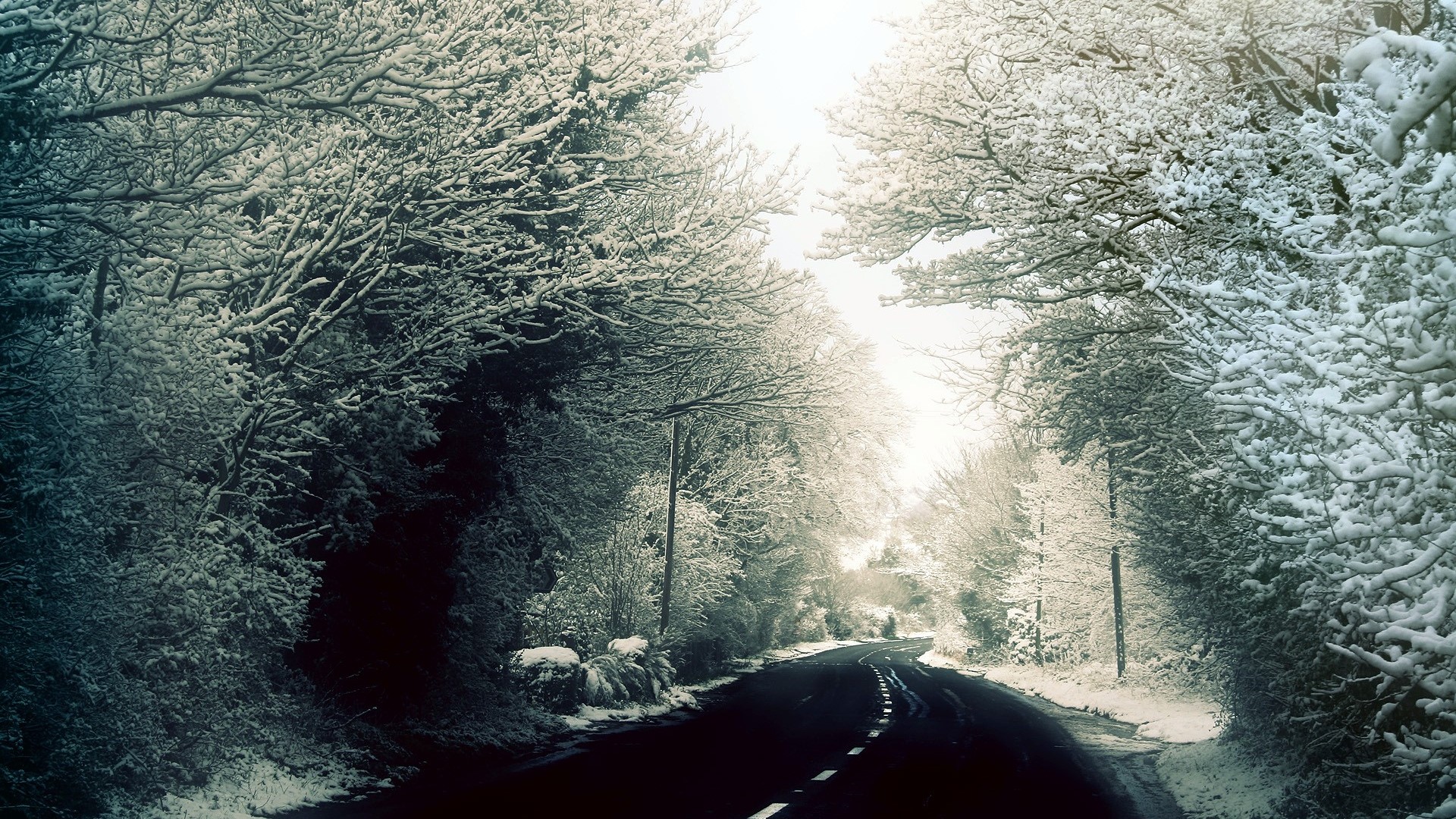 Snow covered road through trees HD Wallpaper