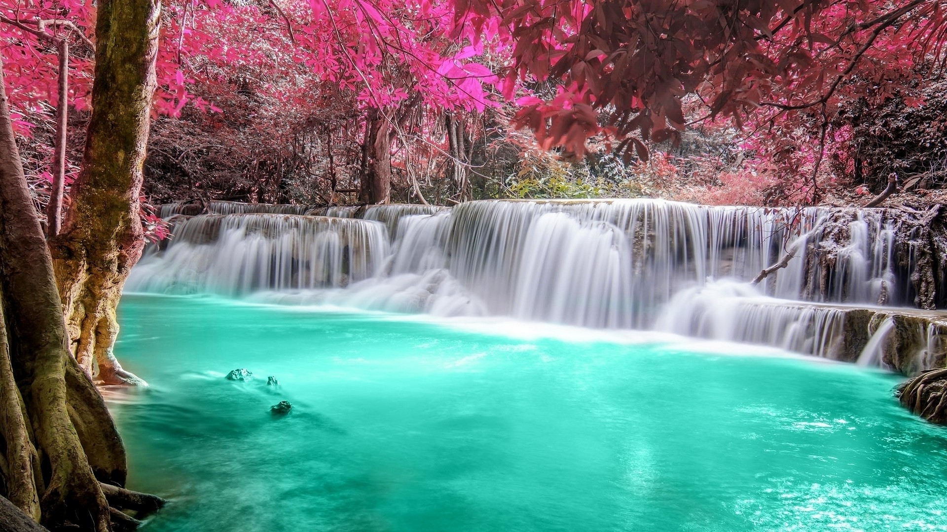 Turquoise waterfall with pink trees HD Wallpaper