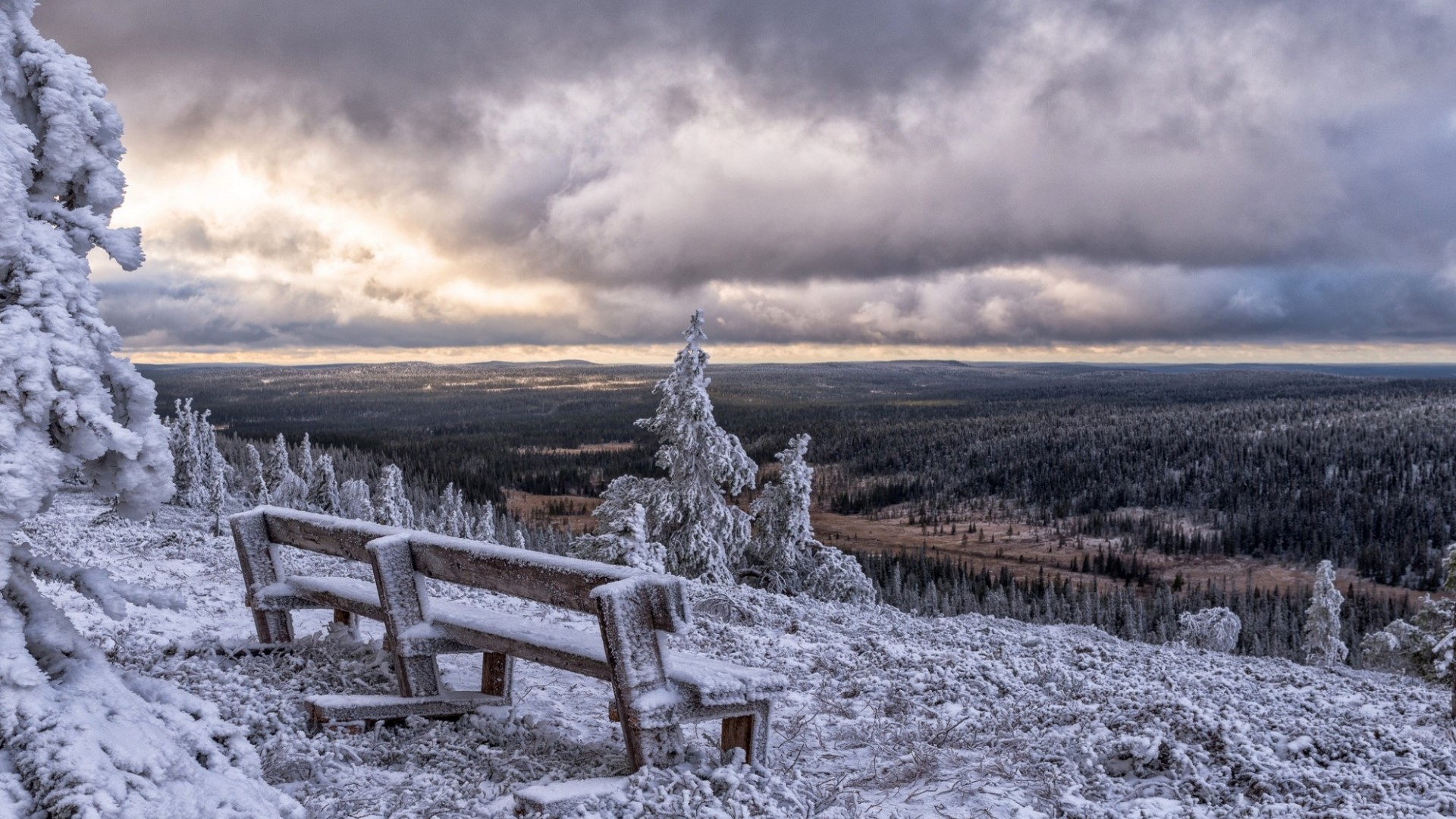 Snow-covered bench overlooking a forest in Finland HD Wallpaper