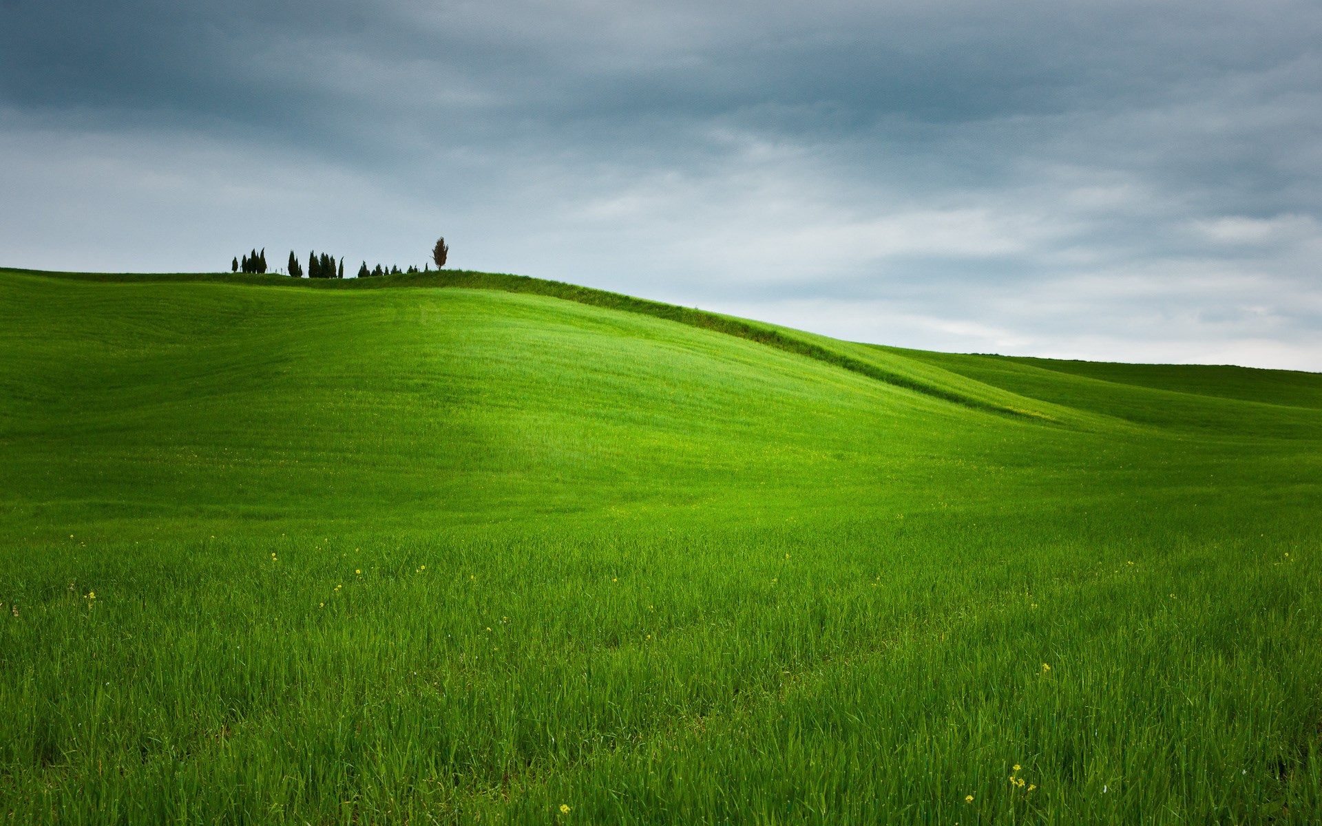 Rolling green hills under a cloudy sky HD Wallpaper