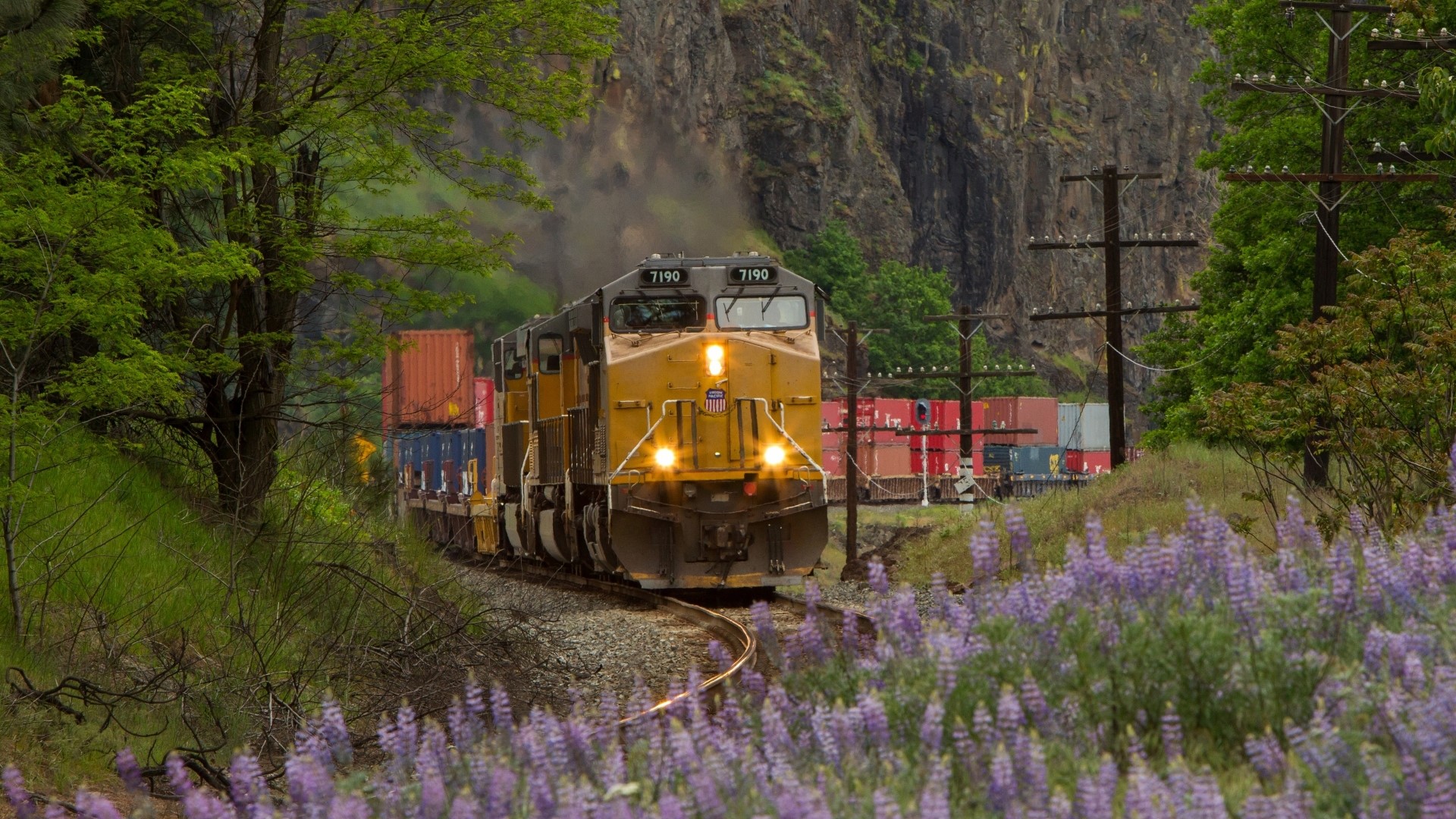 Union Pacific train with cargo containers in a natural landscape HD Wallpaper