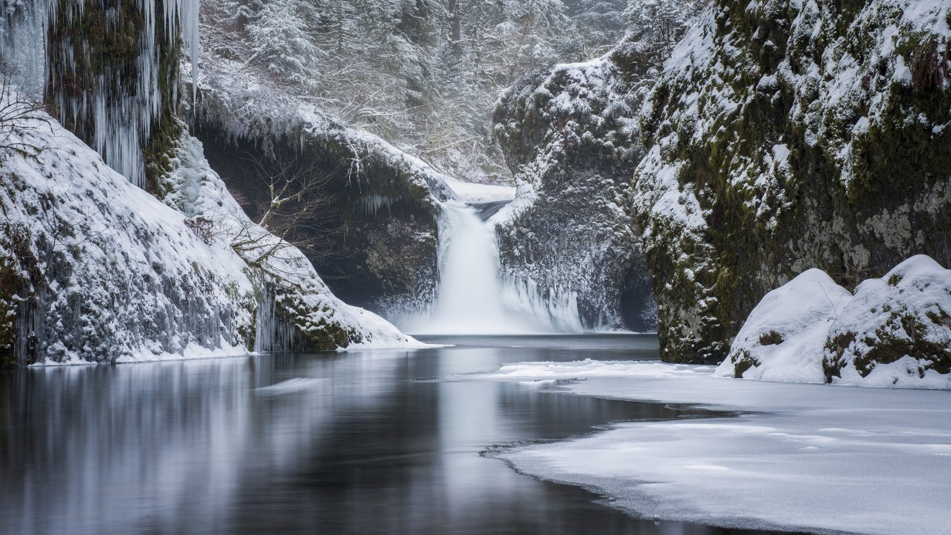 Frozen waterfall and river in a snowy forest HD Wallpaper