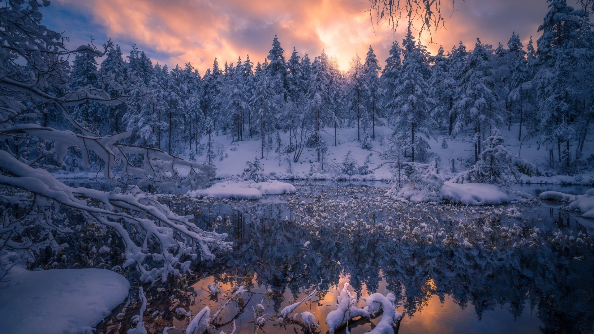 Snowy forest reflected in water at sunset HD Wallpaper