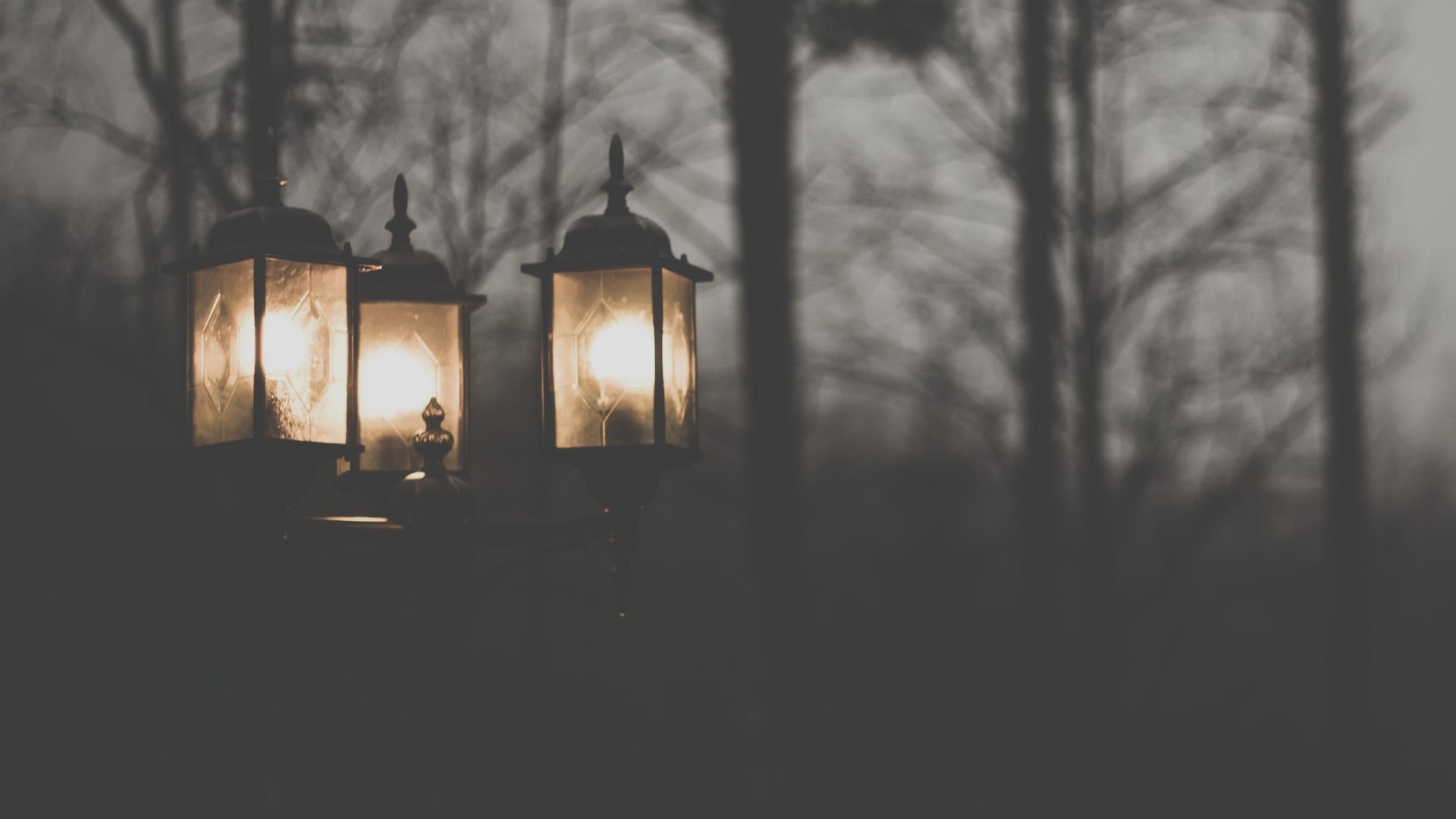 Lanterns in a dark forest HD Wallpaper