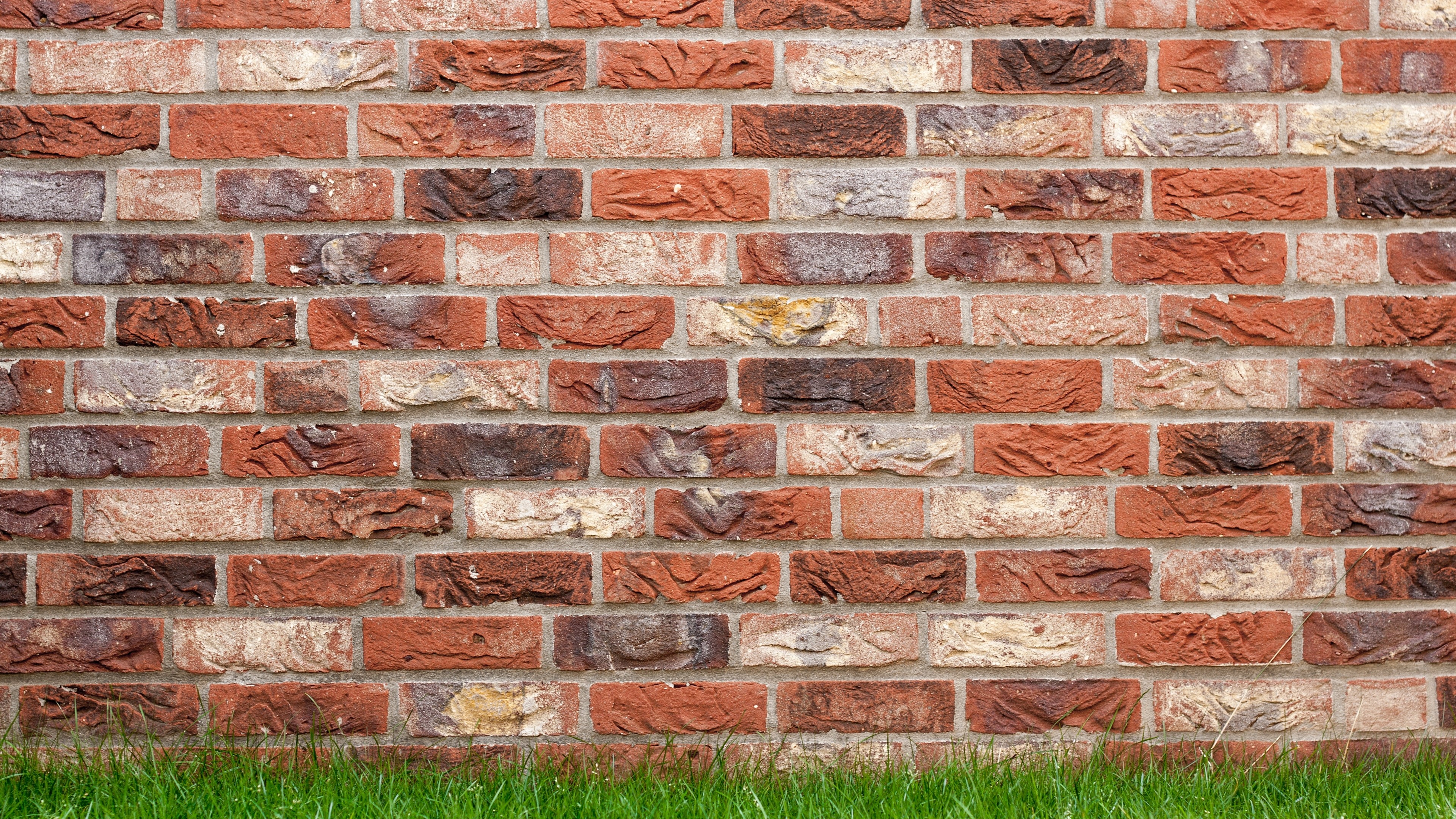 4K Textured Brick Wall with Green Grass HD Wallpaper