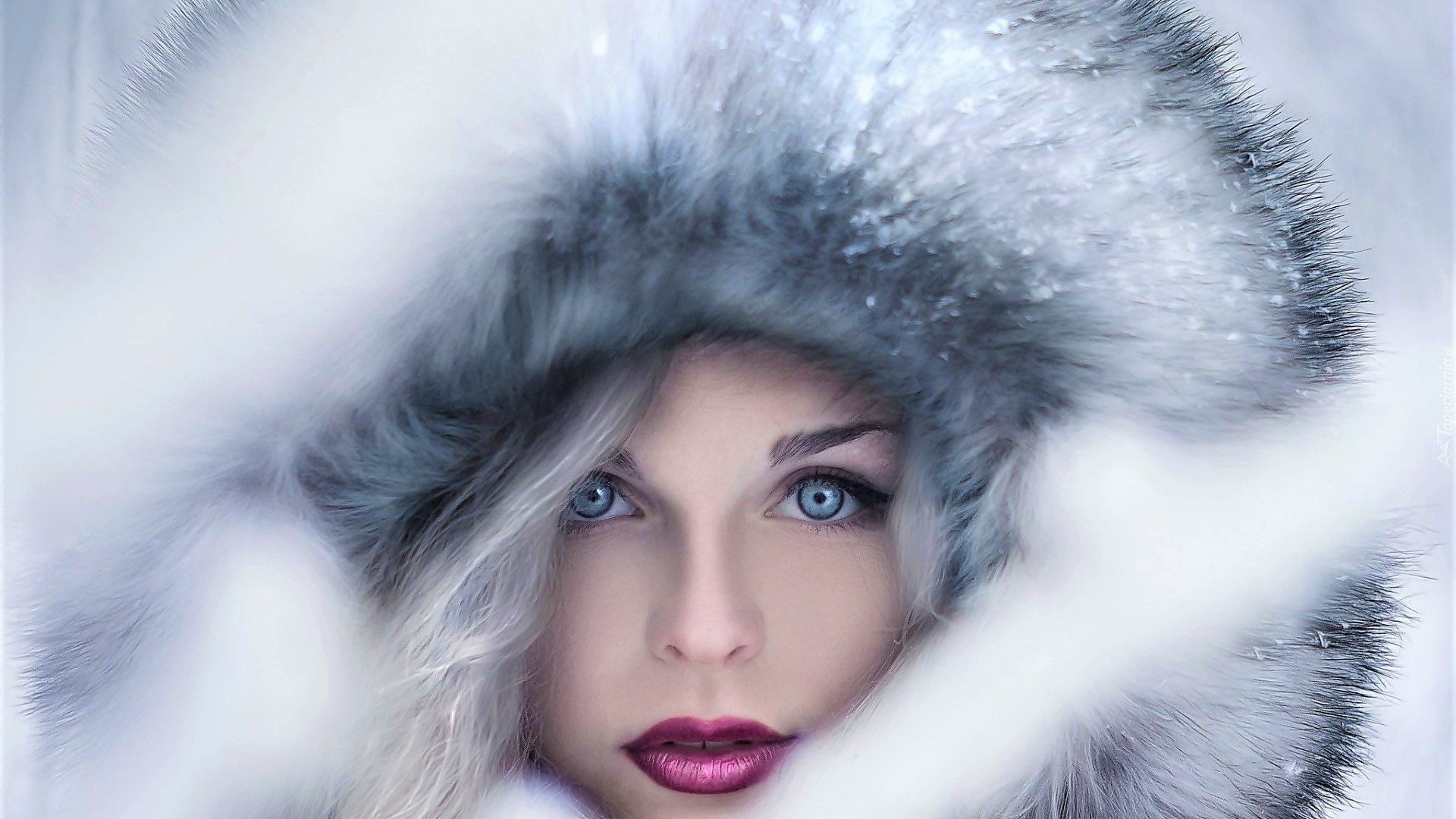Woman in fur hood with blue eyes HD Wallpaper
