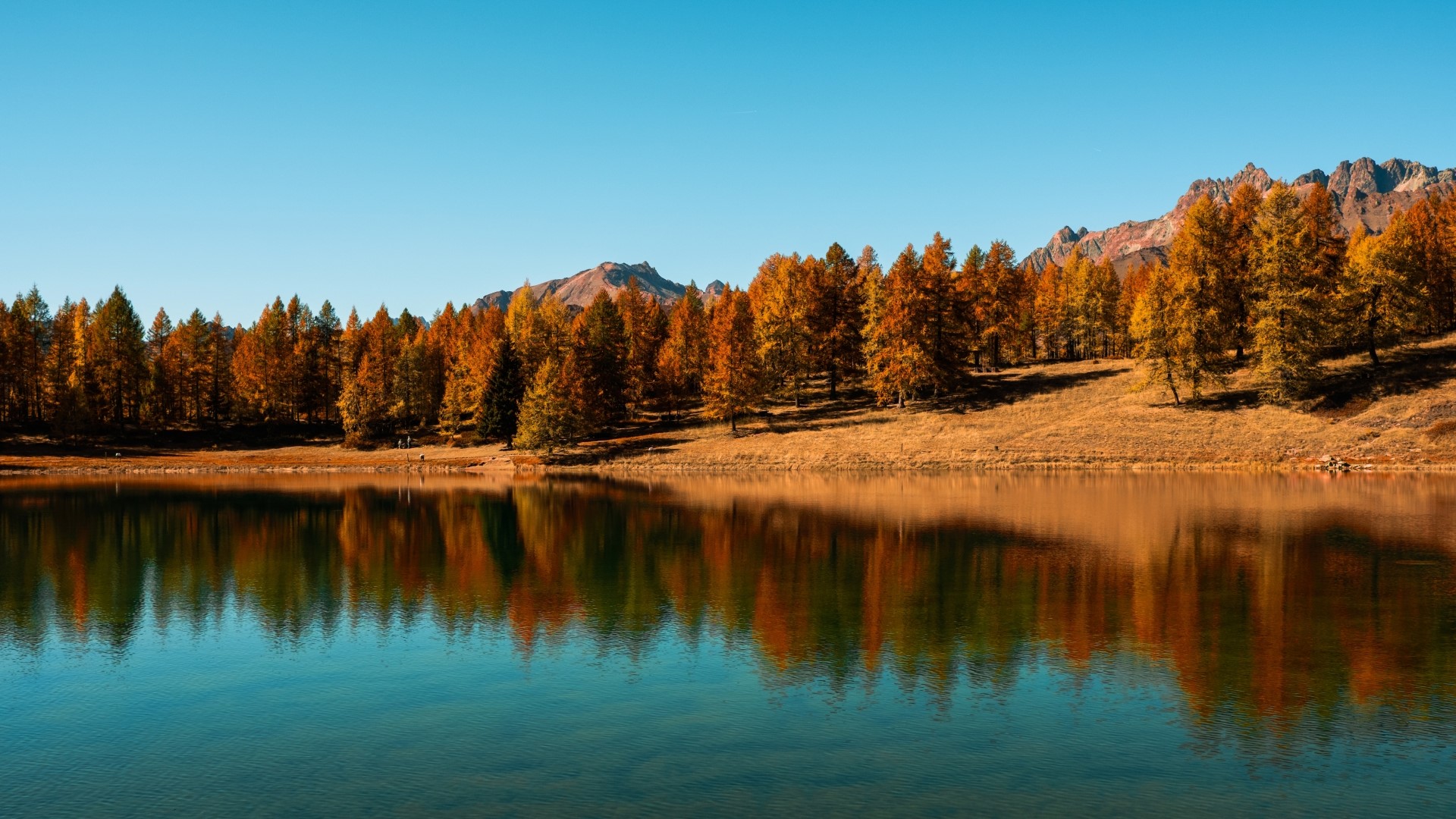 Autumn trees reflecting in a clear lake with mountains HD Wallpaper
