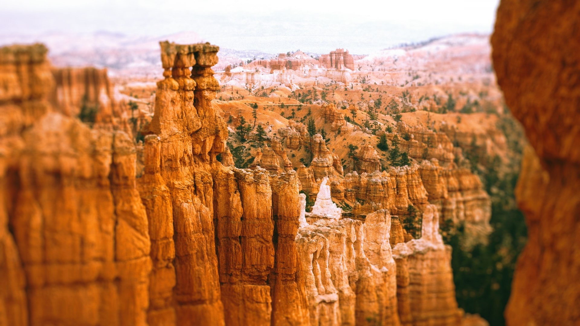 Bryce Canyon National Park Hoodoos HD Wallpaper