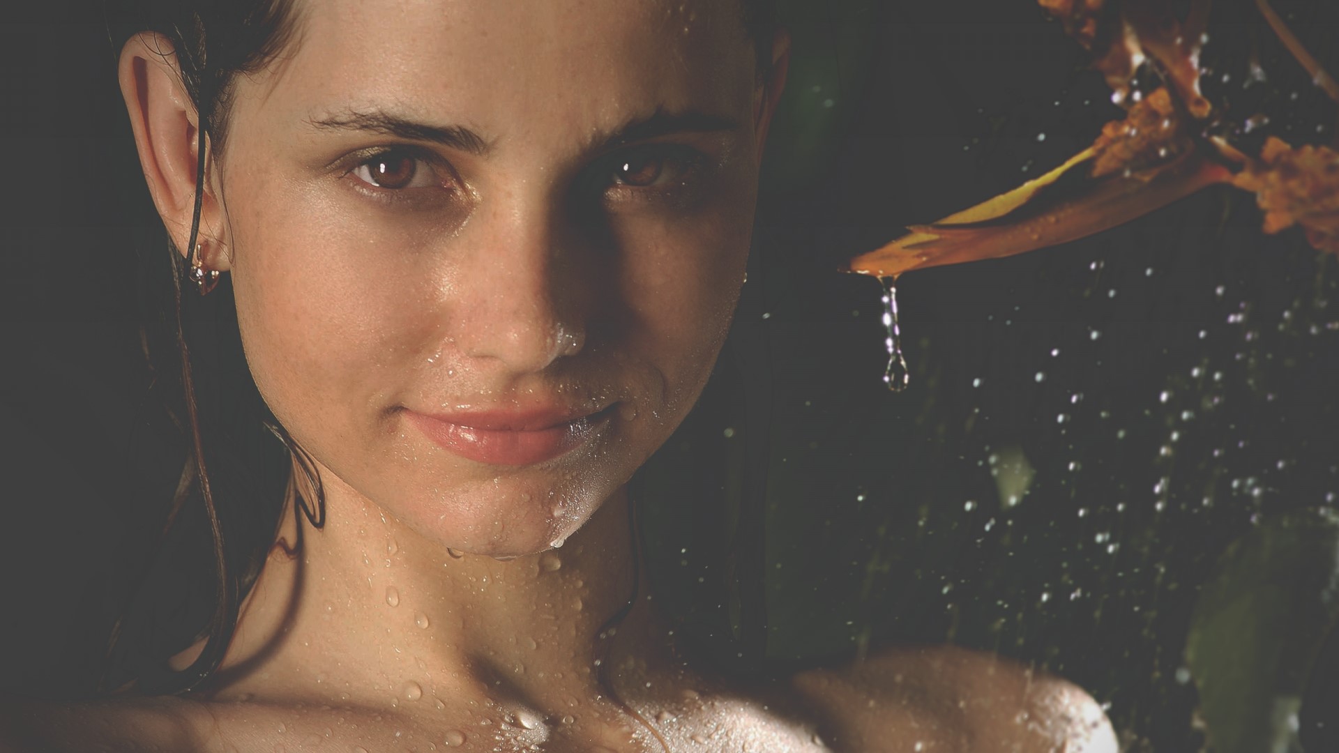 Anja with water droplets and flower HD Wallpaper
