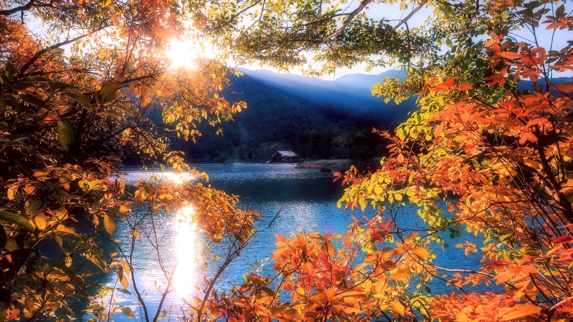 Autumn lake with sunlit trees and mountains HD Wallpaper