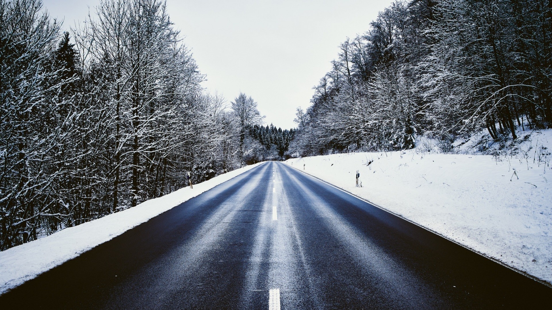 Winter road through snow-covered forest HD Wallpaper