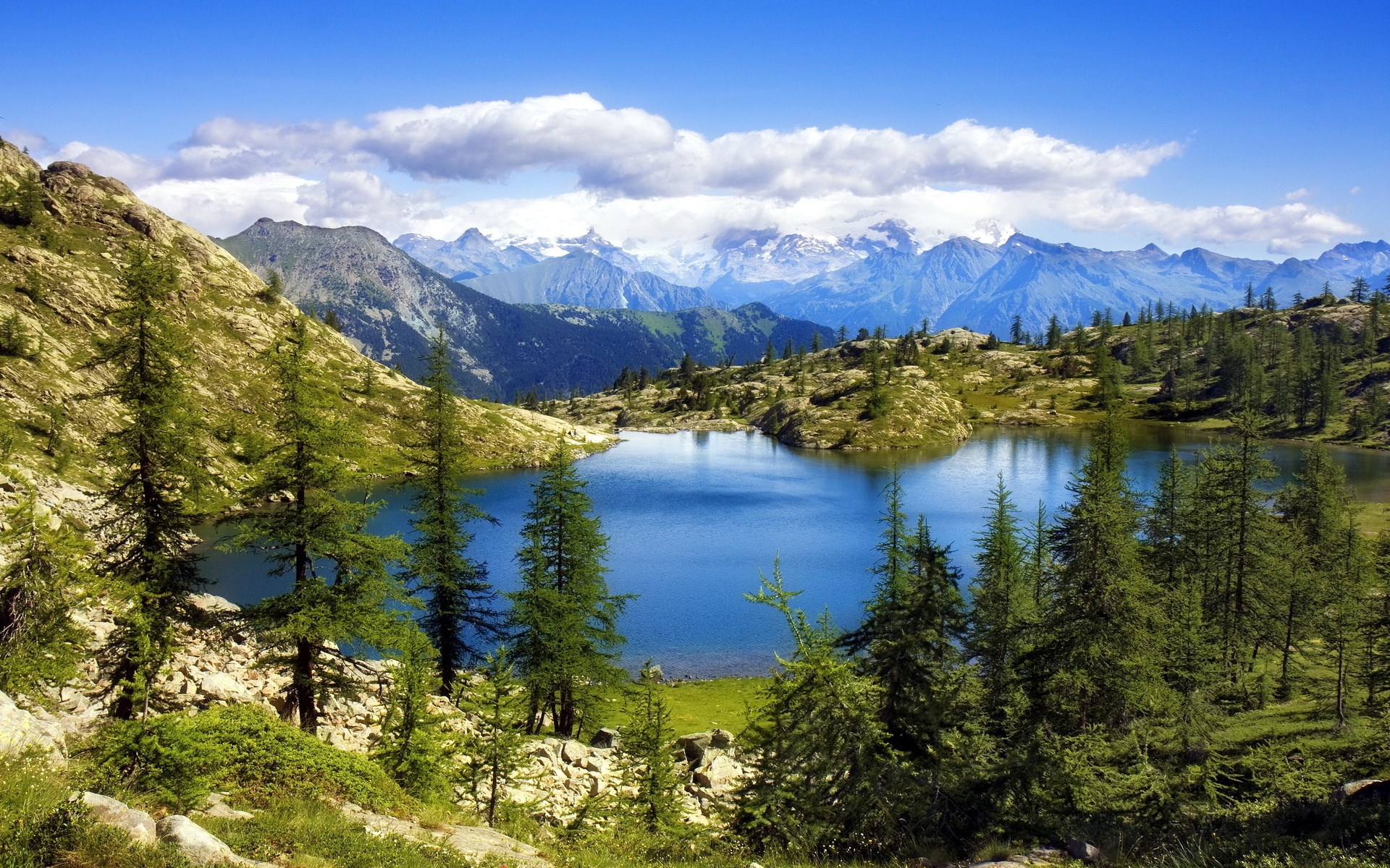 Mountain lake with pine trees and snow-capped peaks HD Wallpaper