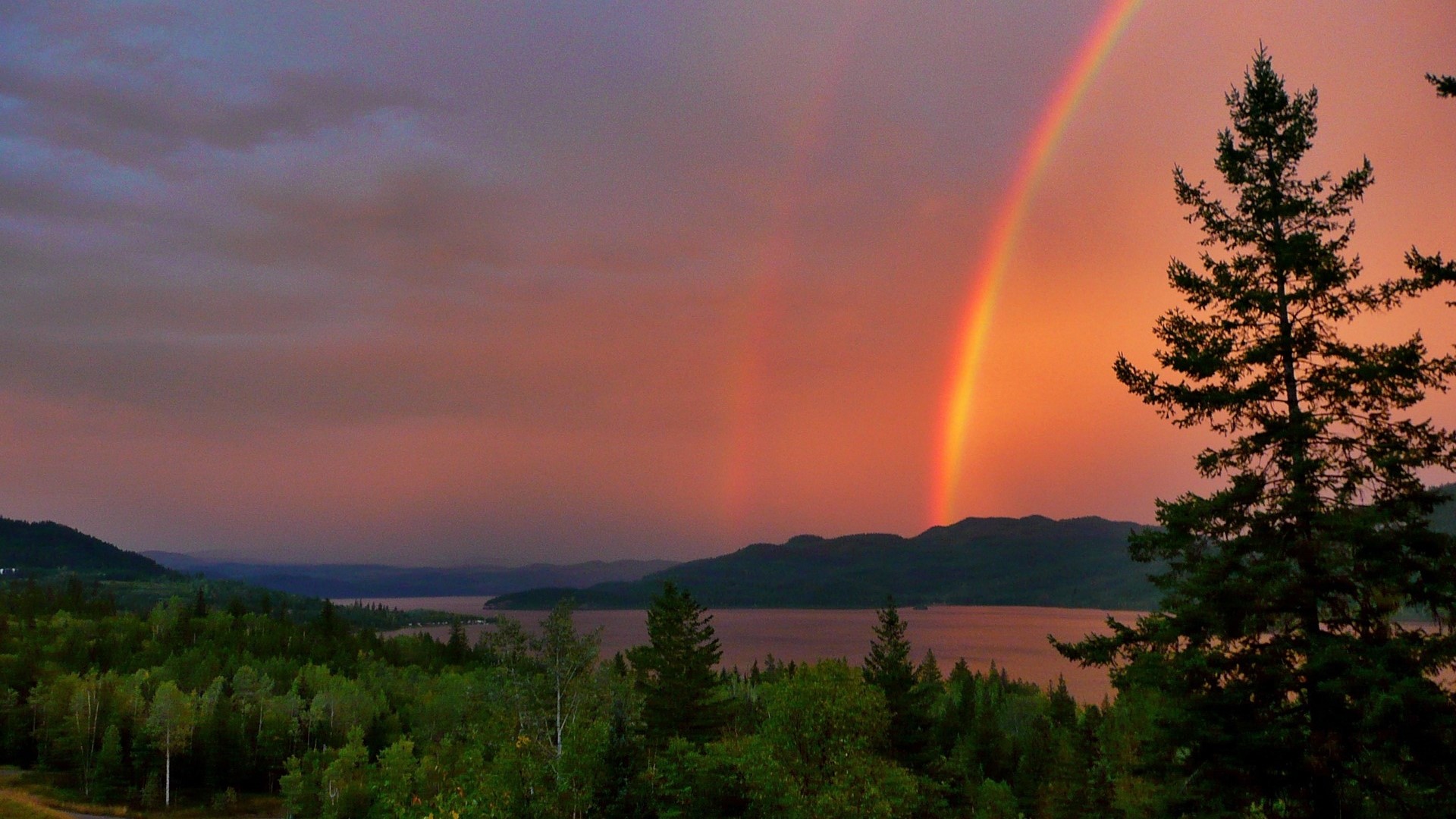 Double rainbow over a lake and forest at sunset HD Wallpaper