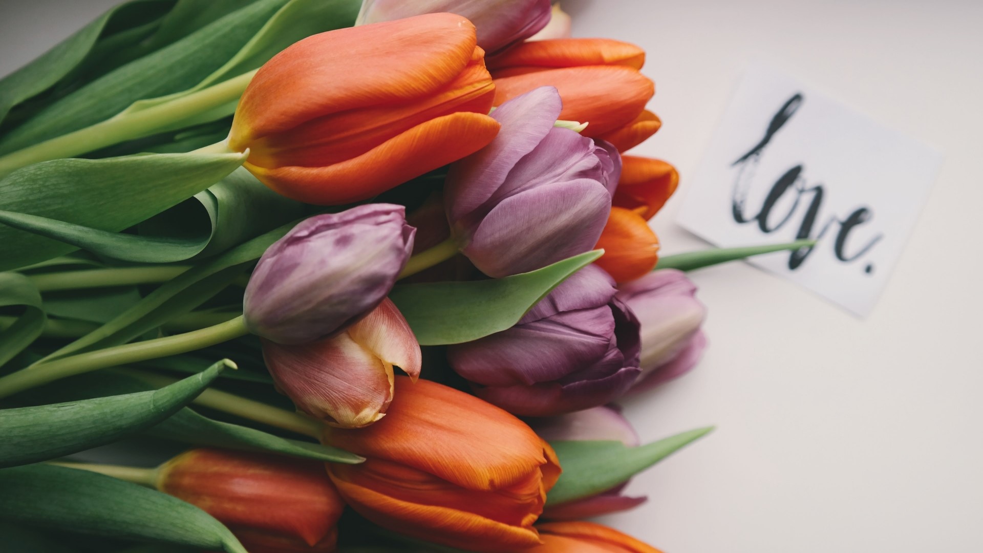 Tulips with a "love" card HD Wallpaper