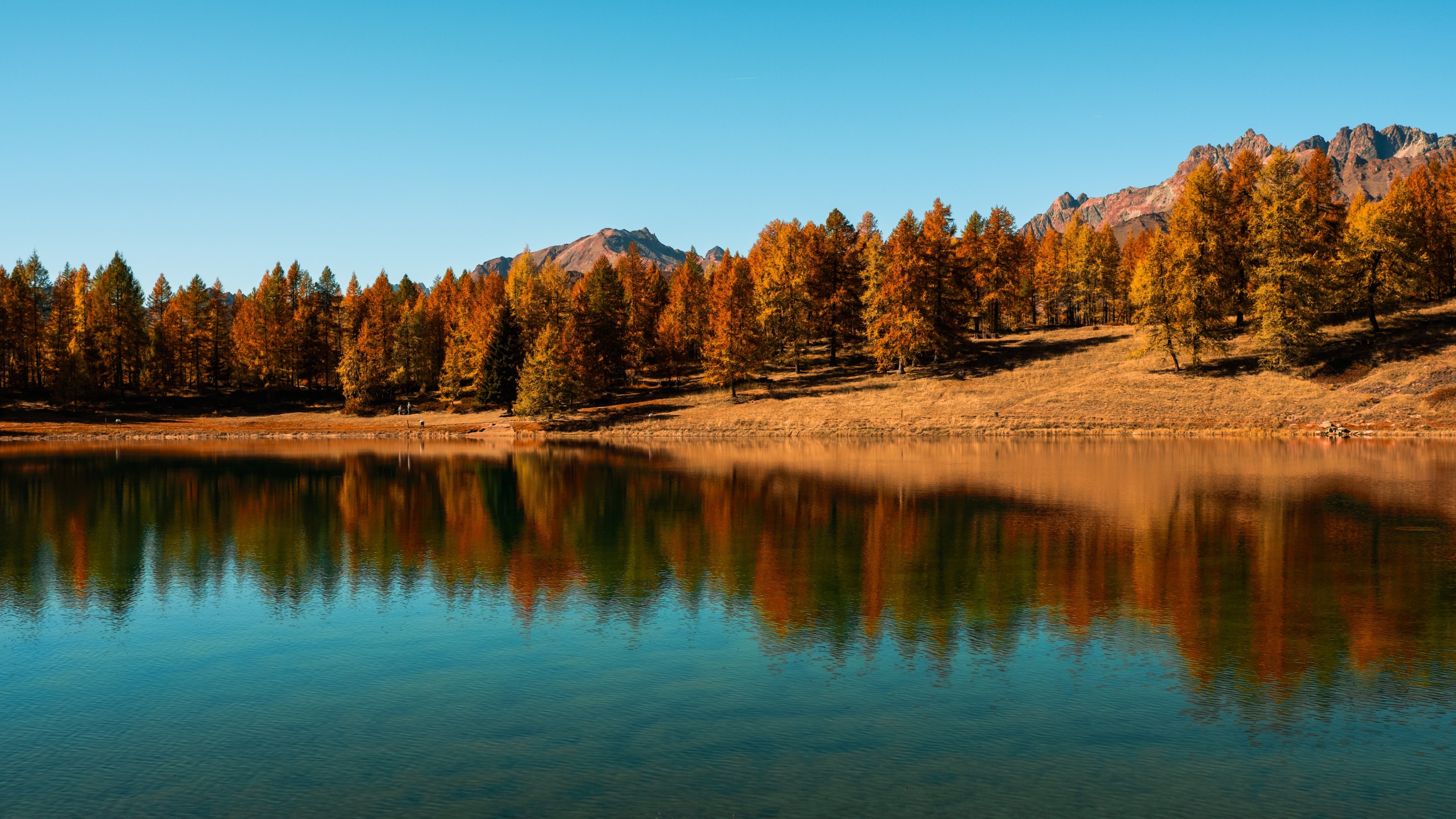 Autumn forest reflected in a clear lake HD Wallpaper