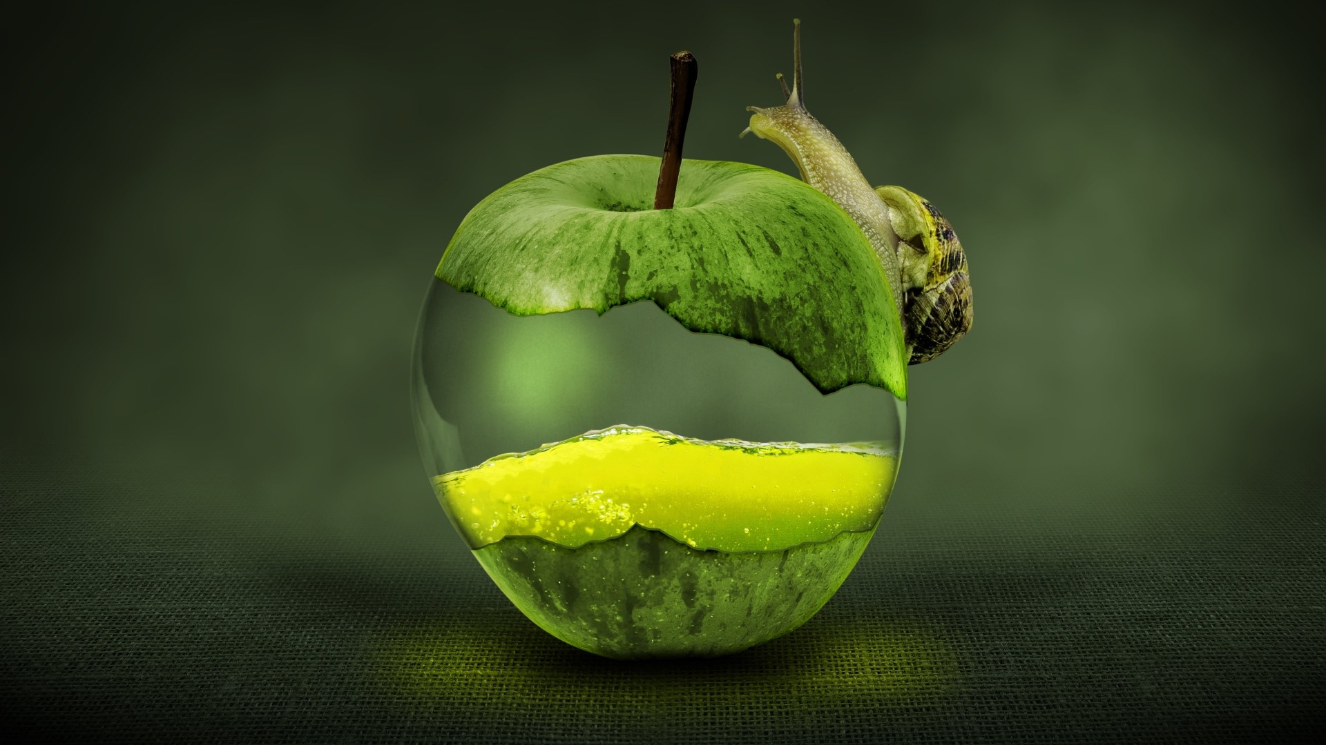 Snail on a green apple with juice HD Wallpaper