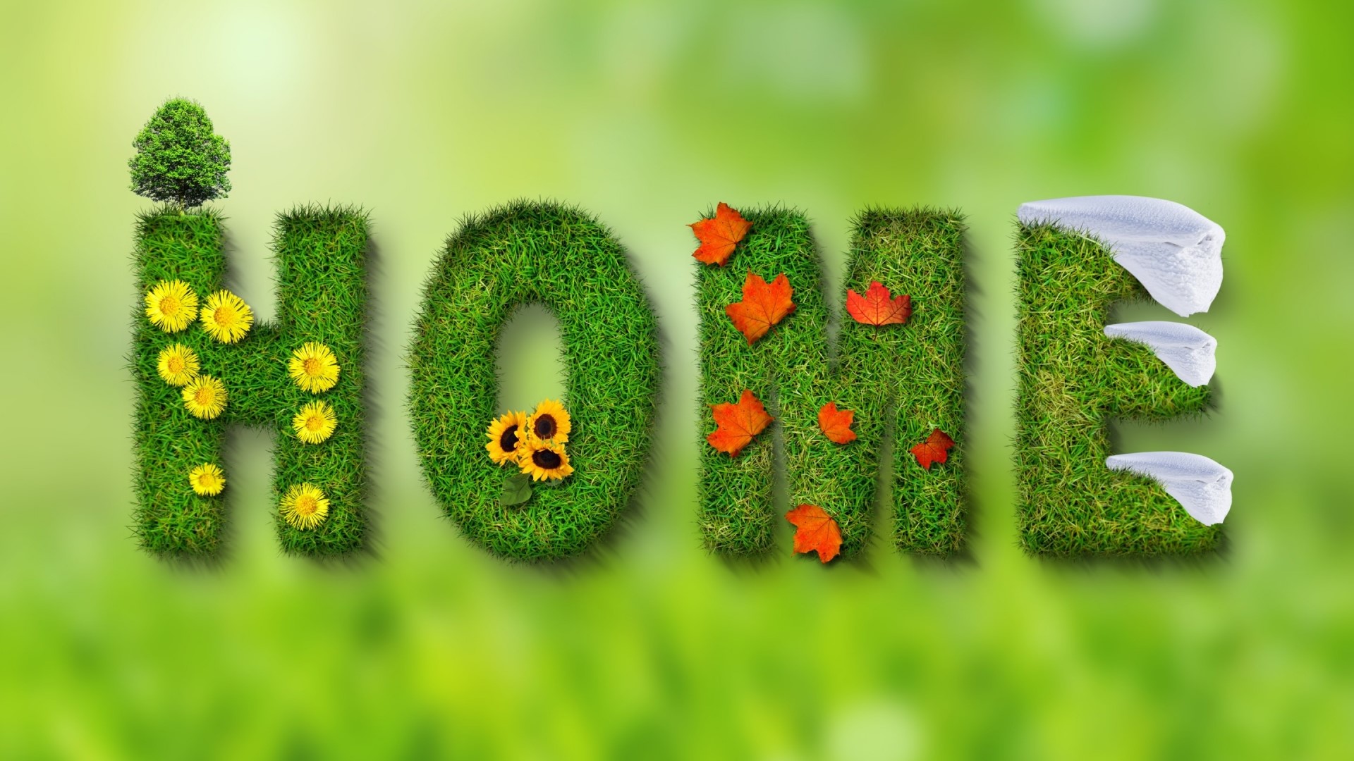 The word HOME made of grass and seasonal elements HD Wallpaper