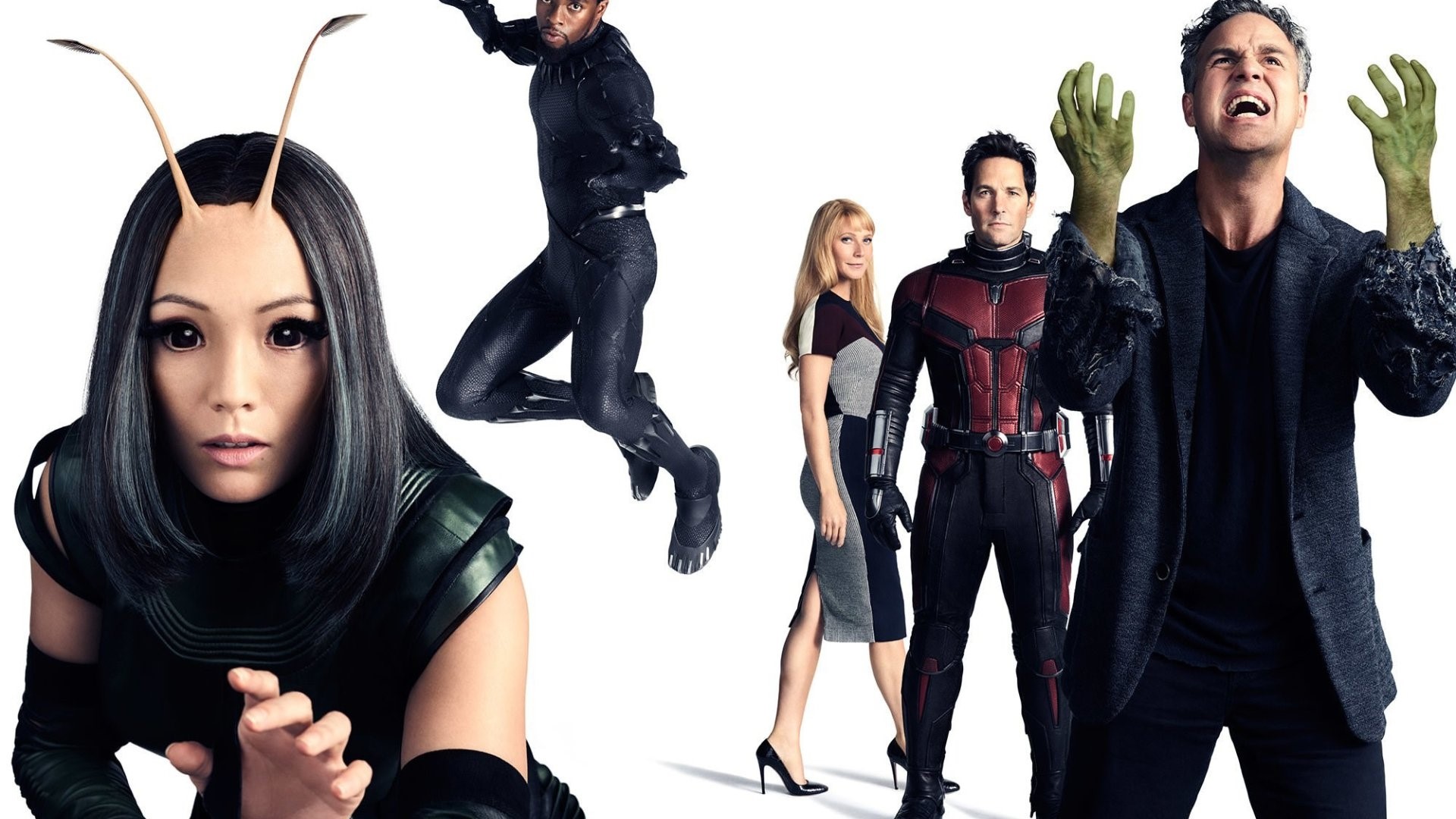 Mantis, Black Panther, Ant-Man, Pepper Potts, and Hulk from Avengers Infinity War HD Wallpaper