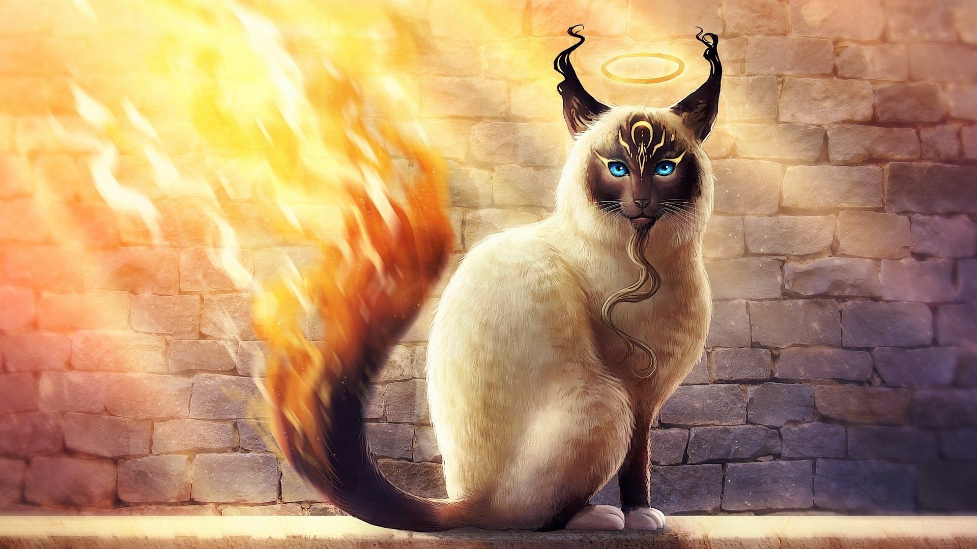 Siamese Cat with Fiery Tail and Halo HD Wallpaper