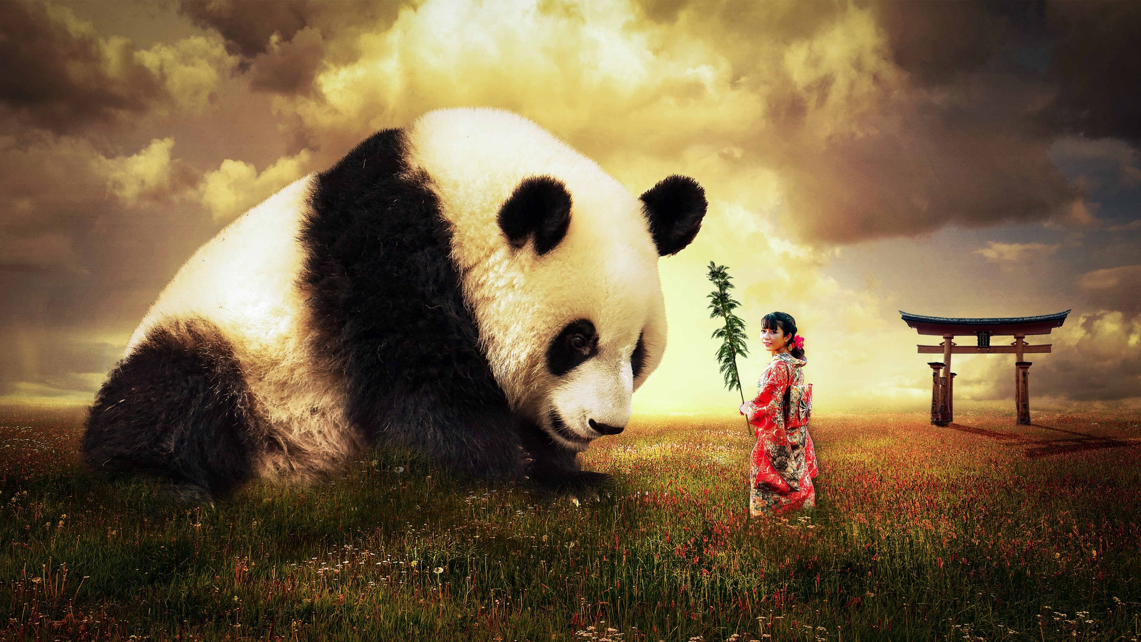 Giant Panda and Girl in Field with Torii Gate HD Wallpaper
