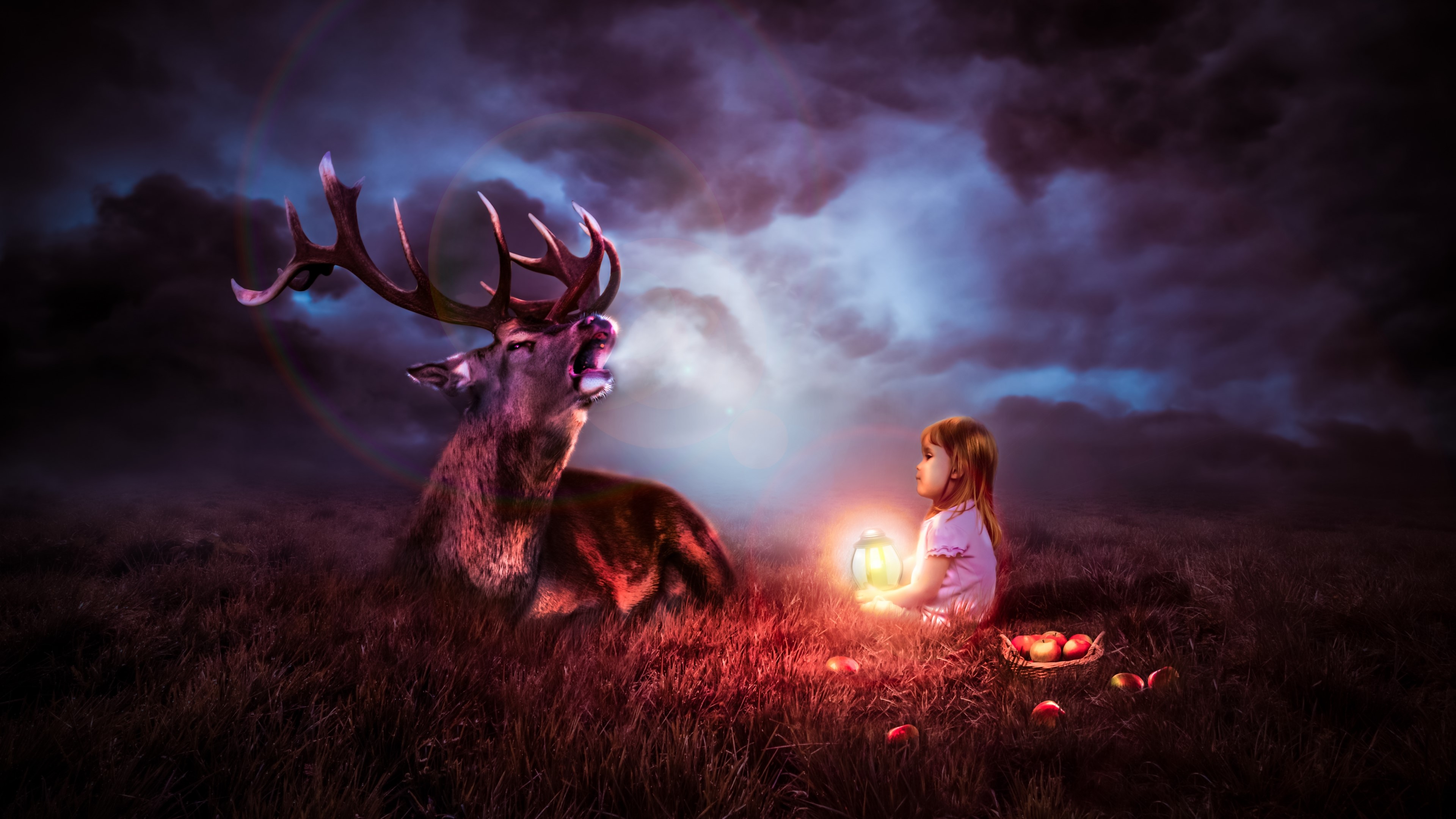 Girl and deer in a field HD Wallpaper